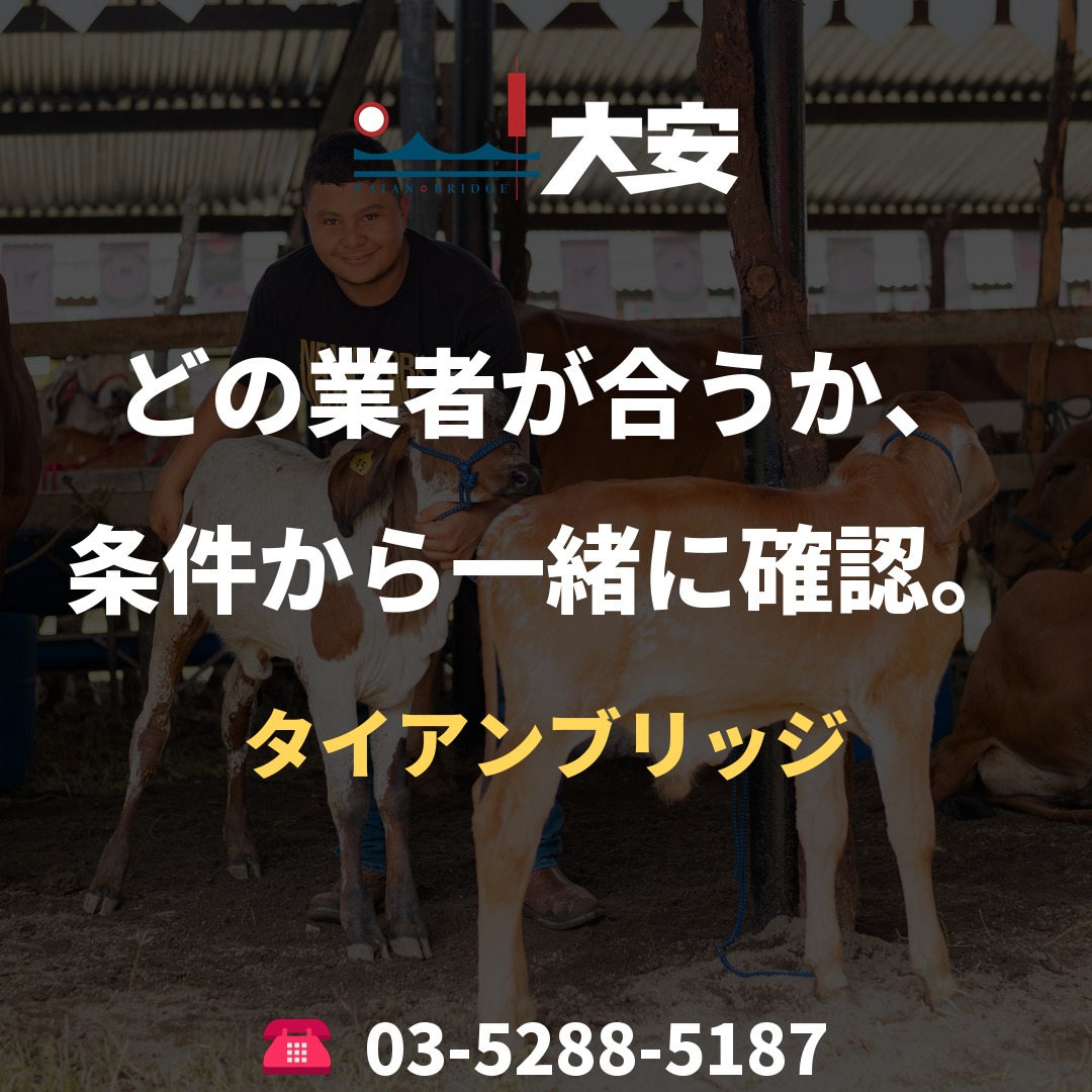 どの業者が合うか、条件から一緒に確認。|タイアンブリッジ