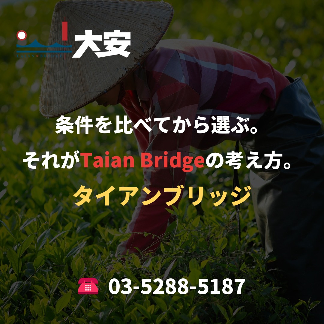 条件を比べてから選ぶ。それがTaian Bridgeの考え方。