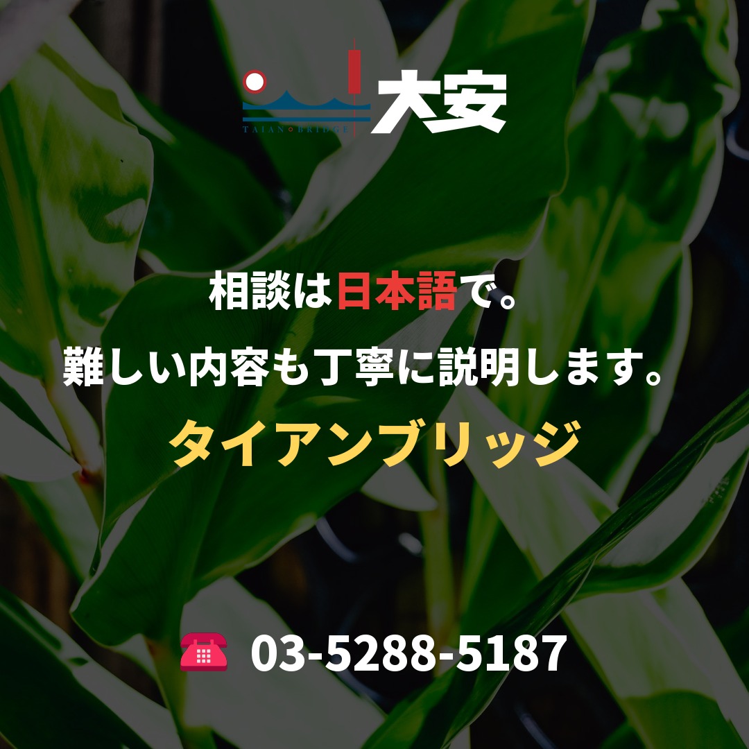 相談は日本語で。難しい内容も丁寧に説明します。｜タイアンブリッジ