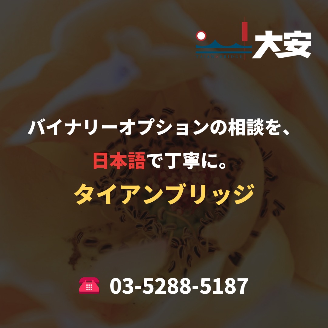 バイナリーオプションの相談を、日本語で丁寧に。｜タイアンブリッジ