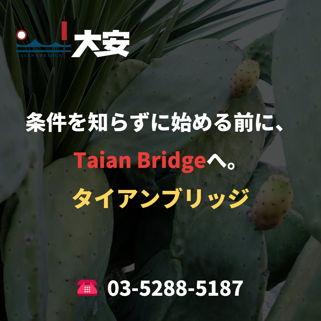 条件を知らずに始める前に、Taian Bridgeへ。
