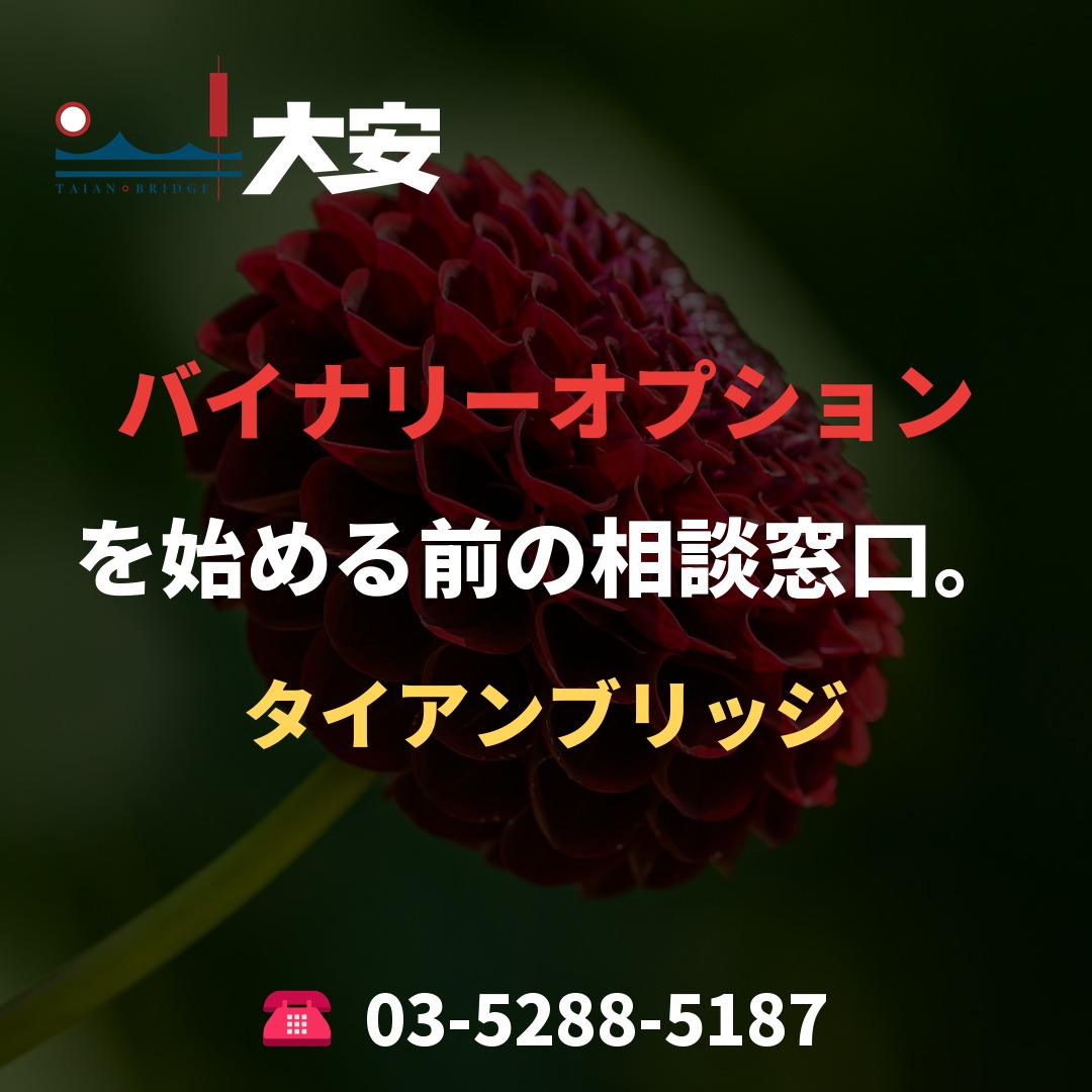 バイナリーオプションを始める前の相談窓口。｜タイアンブリッジ