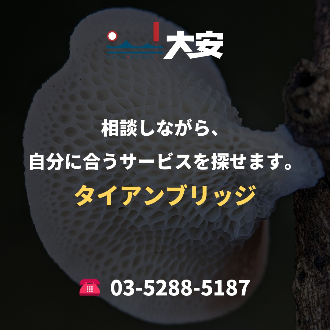相談しながら、自分に合うサービスを探せます。｜タイアンブリッジ