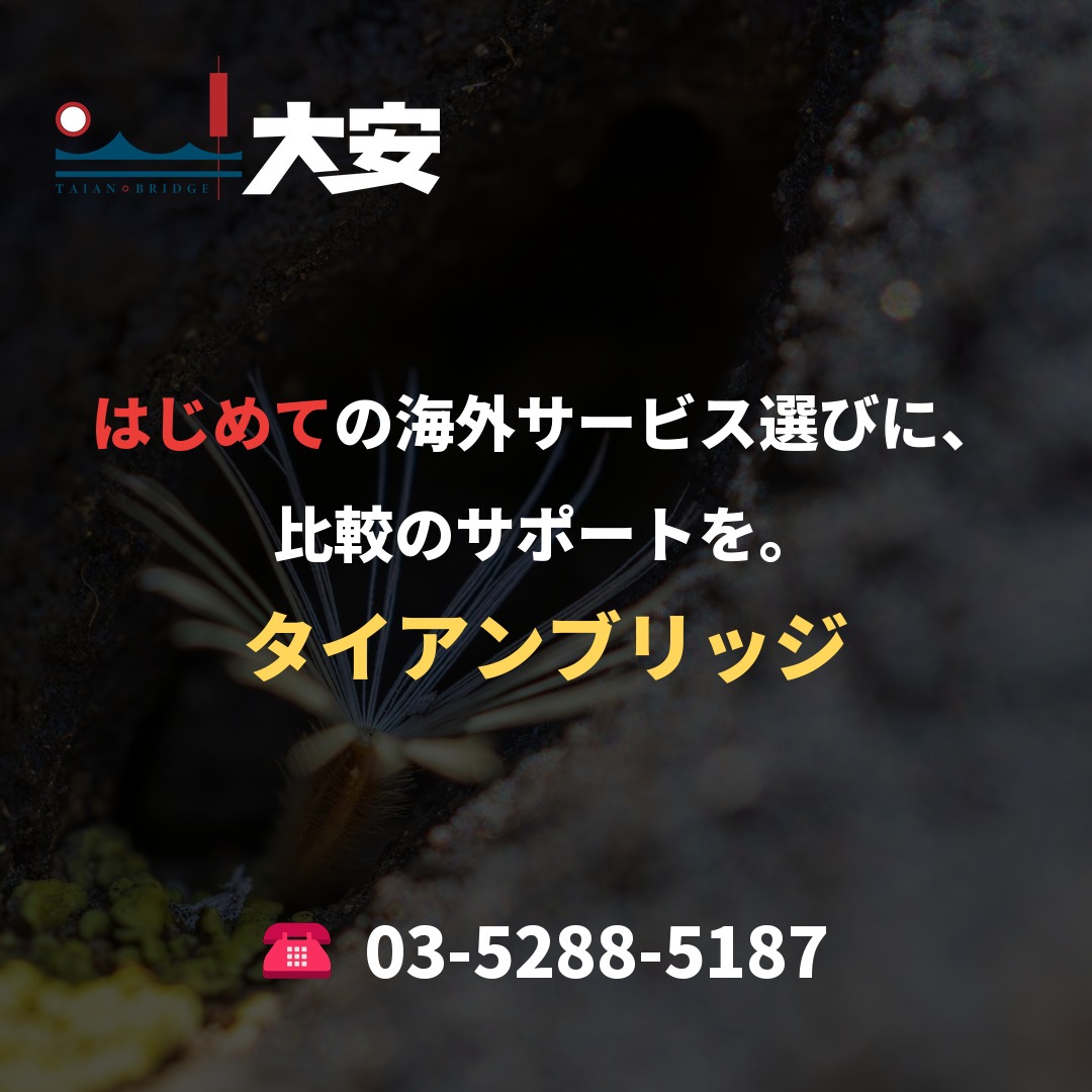 はじめての海外サービス選びに、比較のサポートを。｜タイアンブリッジ