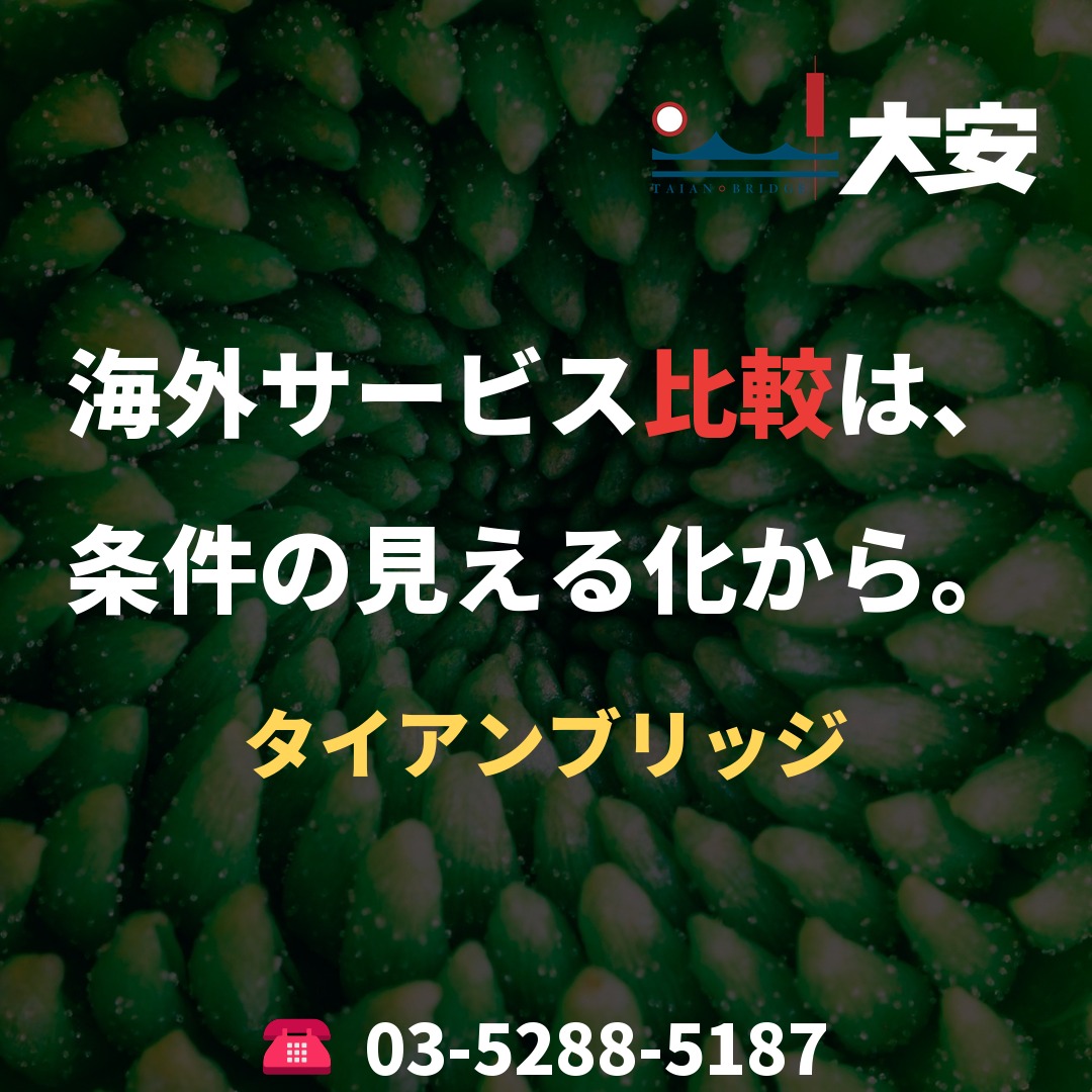 海外サービス比較は、条件の見える化から。｜タイアンブリッジ