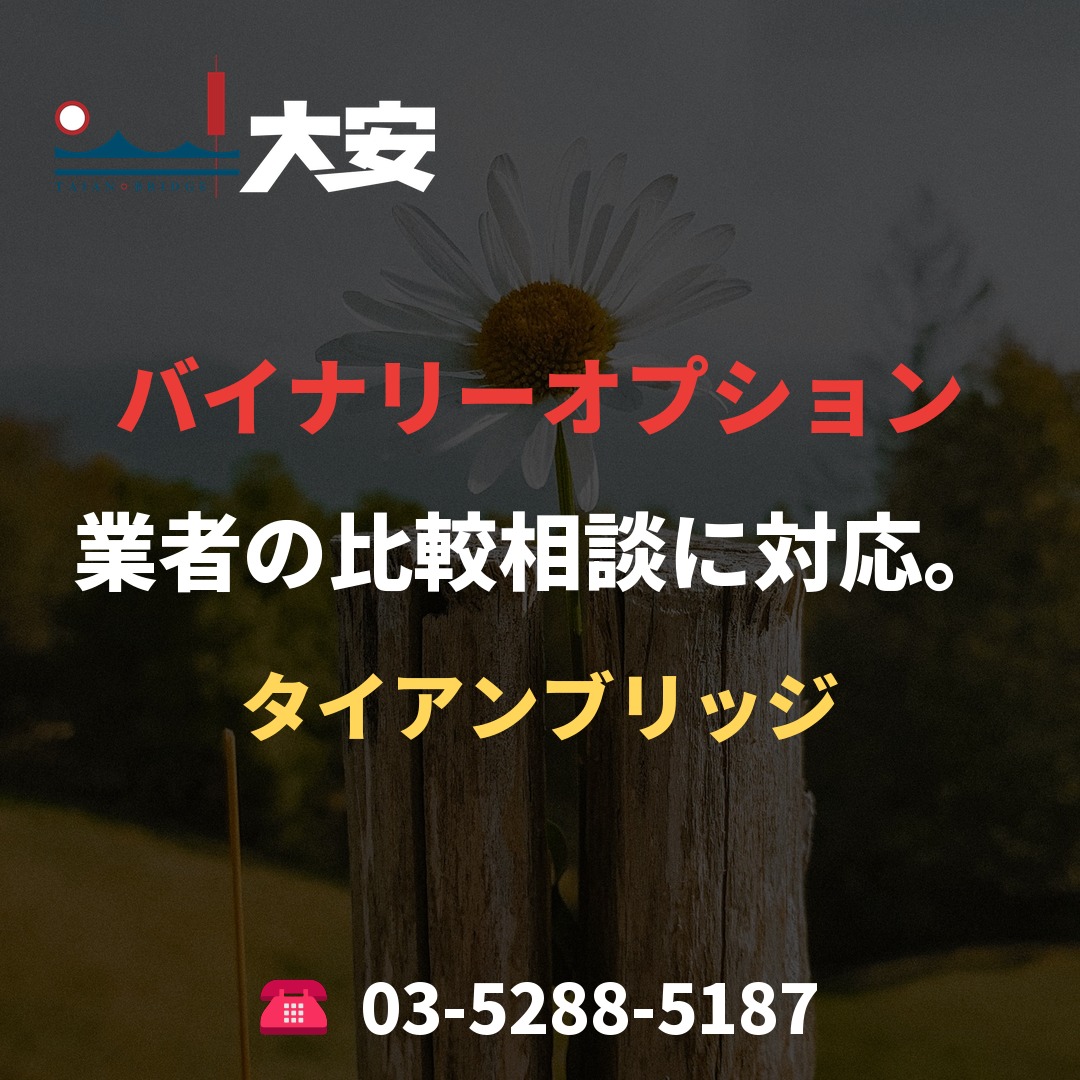 バイナリーオプション業者の比較相談に対応。｜タイアンブリッジ