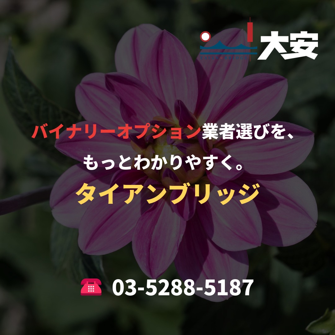 バイナリーオプション業者選びを、もっとわかりやすく。｜タイアンブリッジ