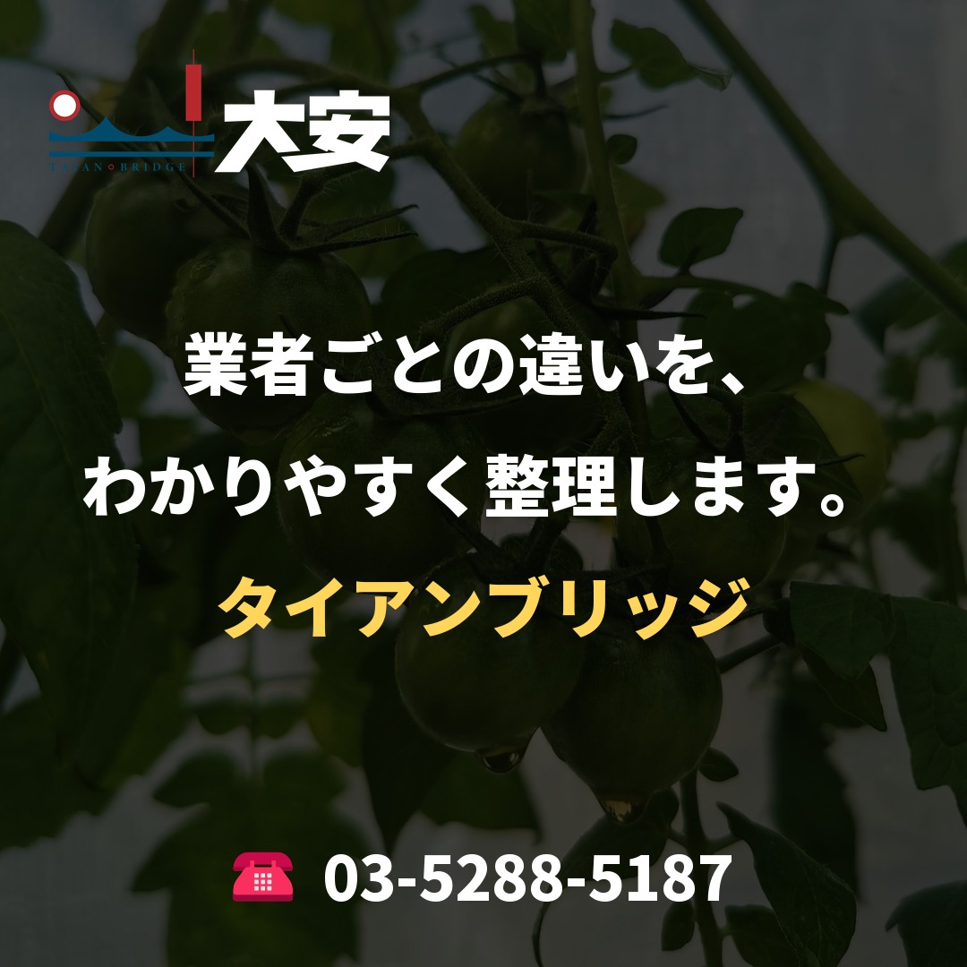 業者ごとの違いを、わかりやすく整理します。｜タイアンブリッジ