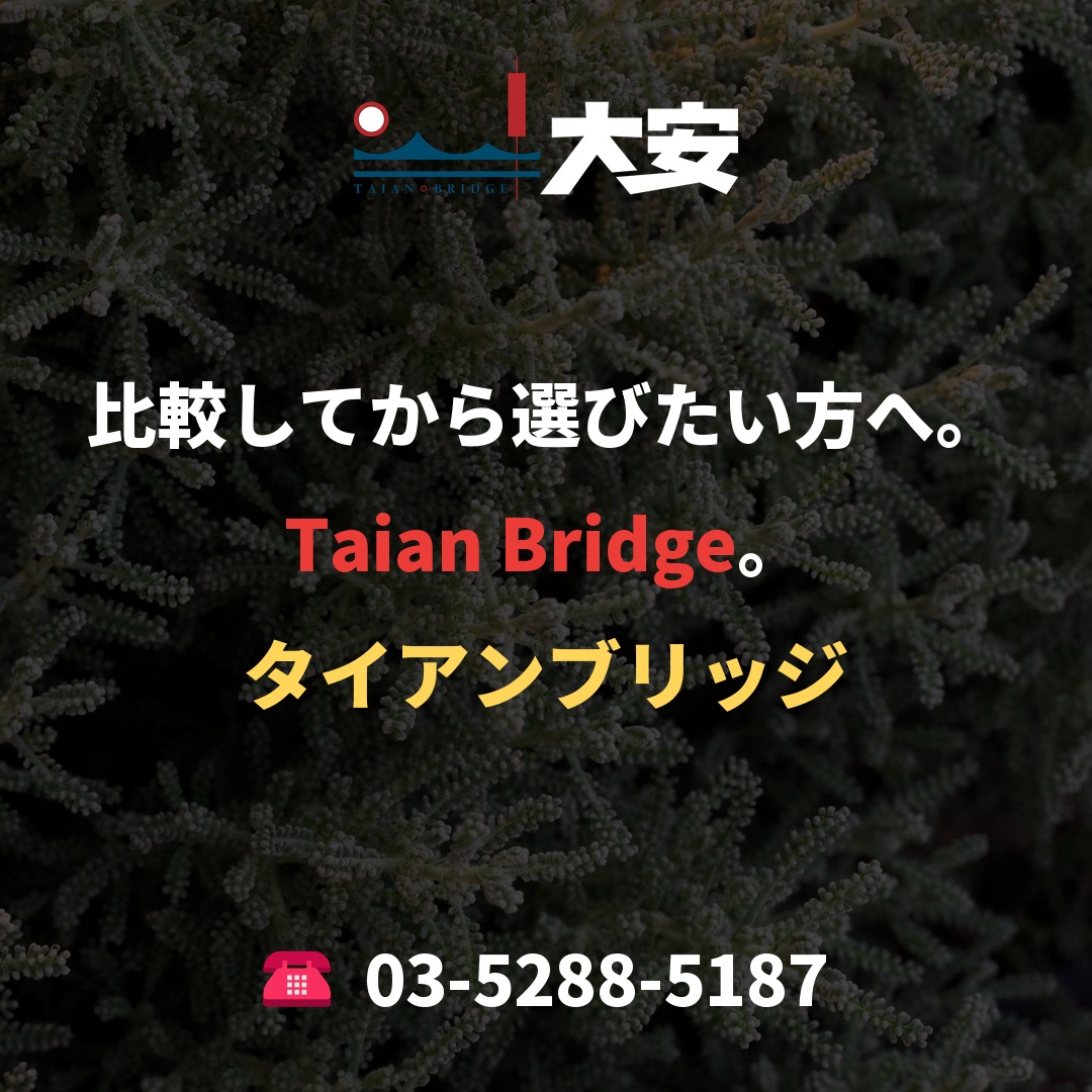 比較してから選びたい方へ。Taian Bridge。