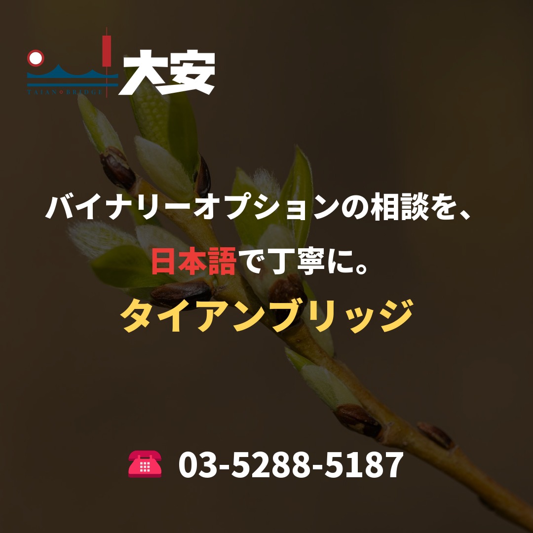 バイナリーオプションの相談を、日本語で丁寧に。｜タイアンブリッジ