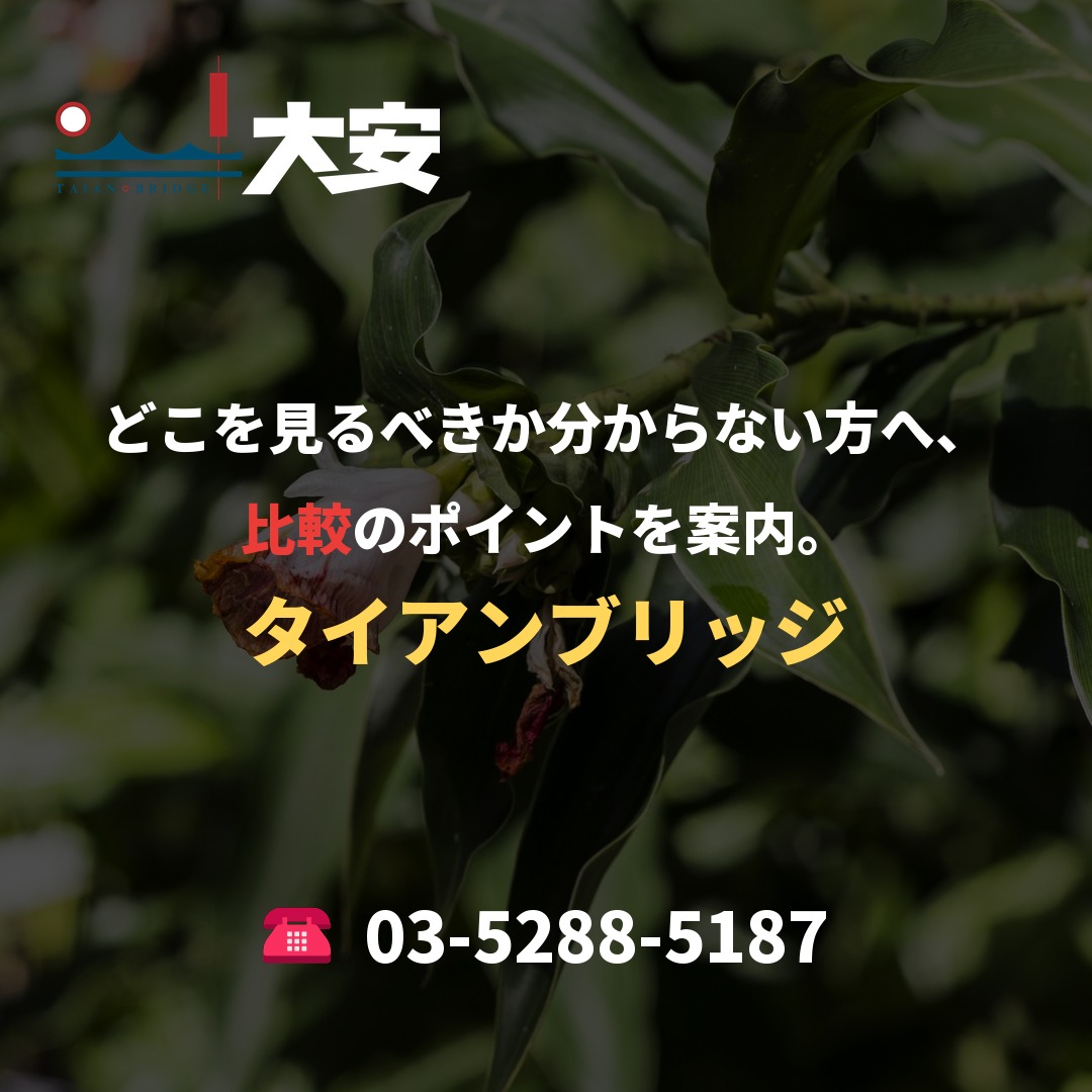 どこを見るべきか分からない方へ、比較のポイントを案内。|タイアンブリッジ