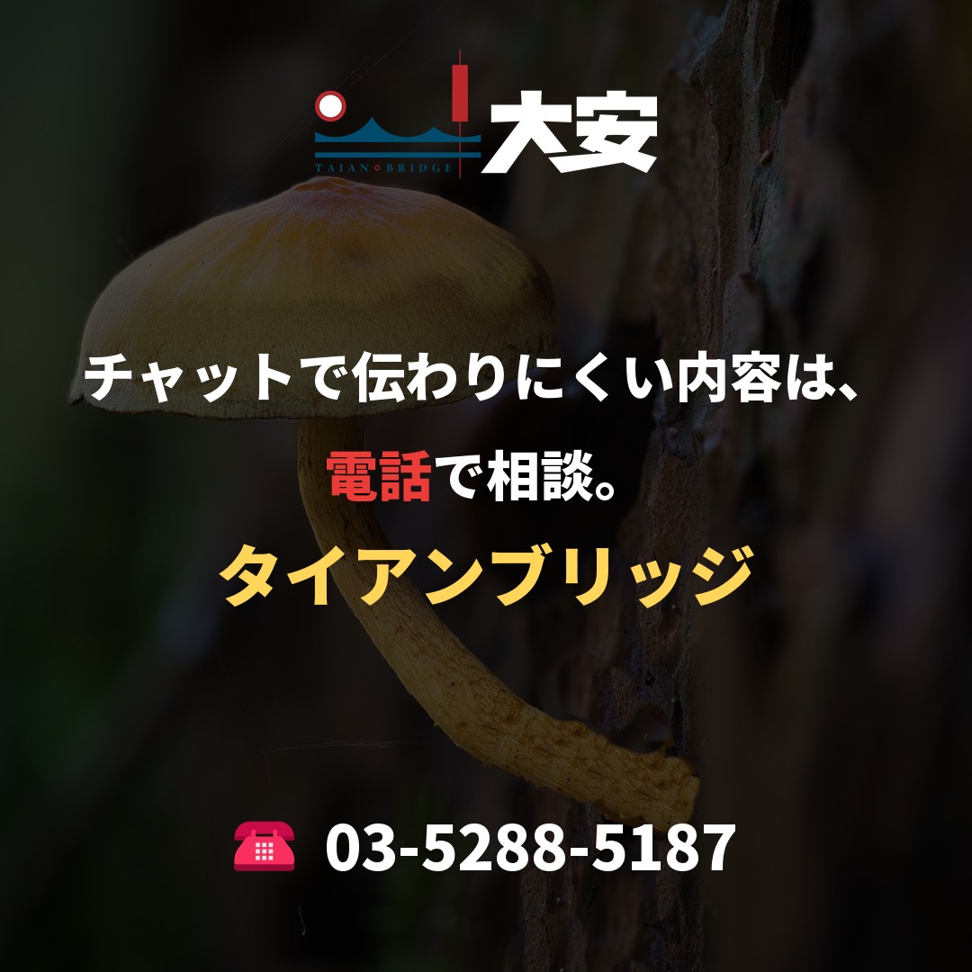 チャットで伝わりにくい内容は、電話で相談。｜タイアンブリッジ