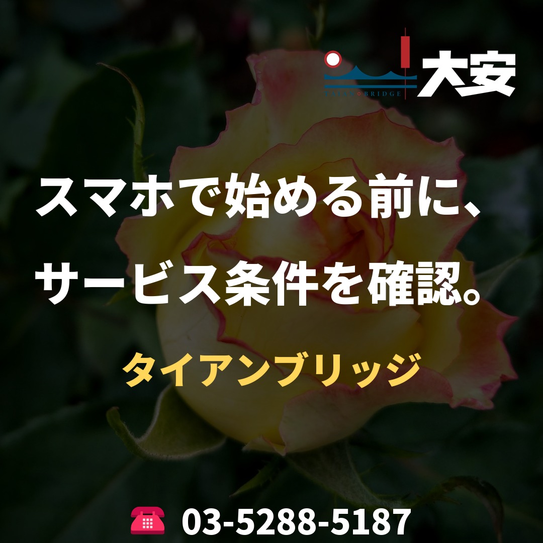 スマホで始める前に、サービス条件を確認。｜タイアンブリッジ