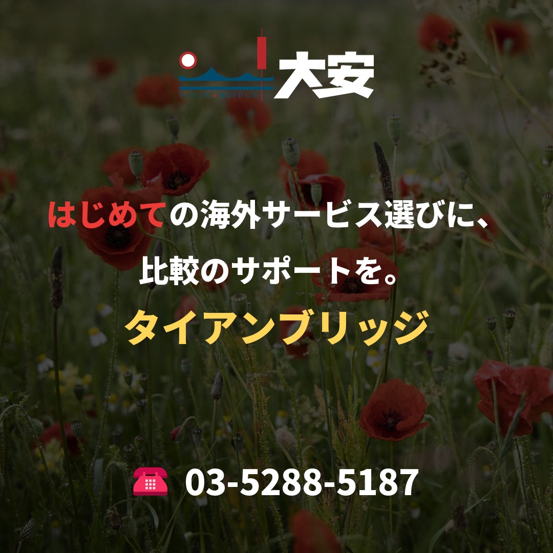はじめての海外サービス選びに、比較のサポートを。|タイアンブリッジ