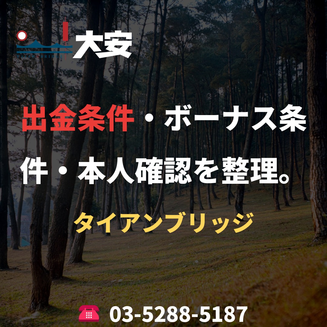出金条件・ボーナス条件・本人確認を整理。|タイアンブリッジ