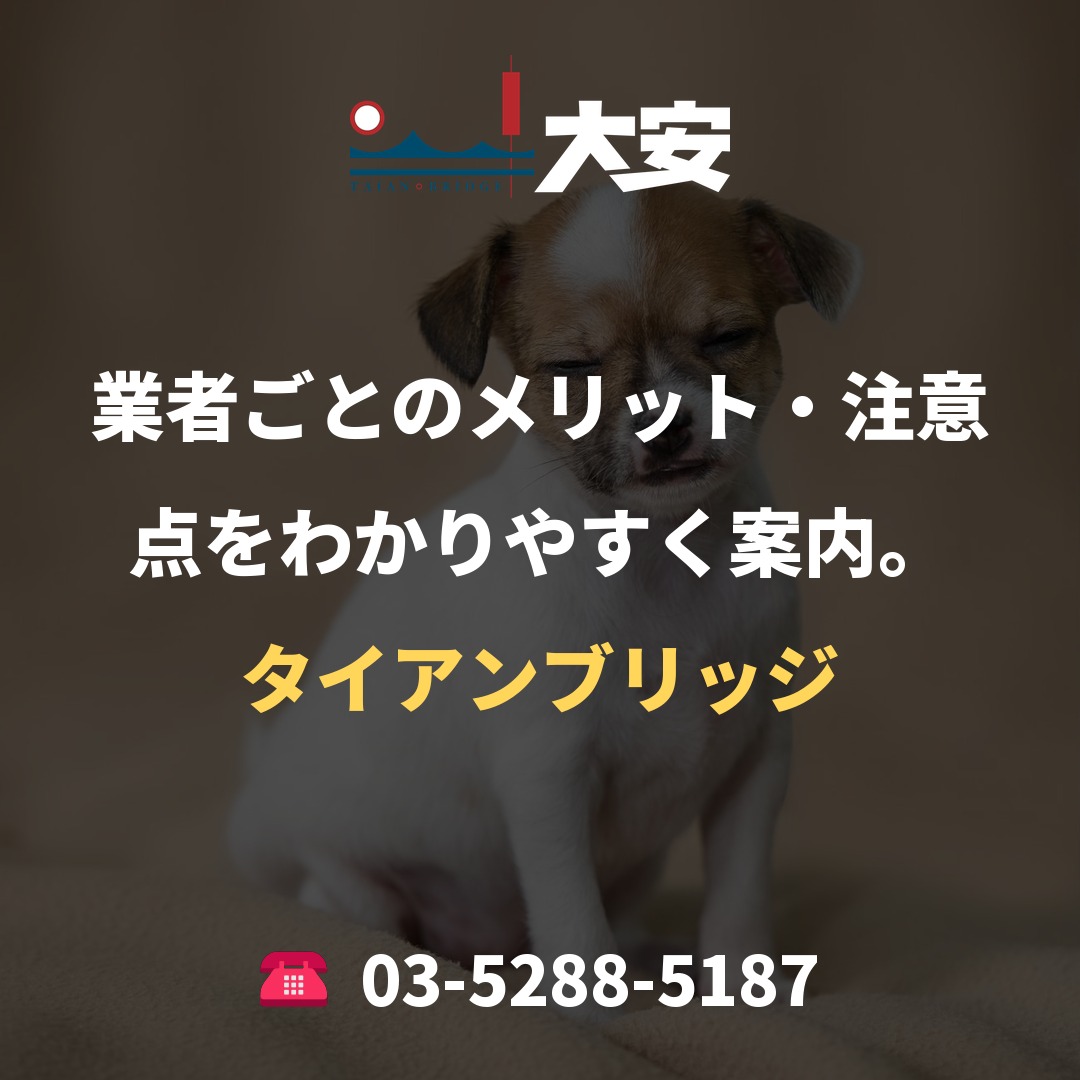 業者ごとのメリット・注意点をわかりやすく案内。|タイアンブリッジ