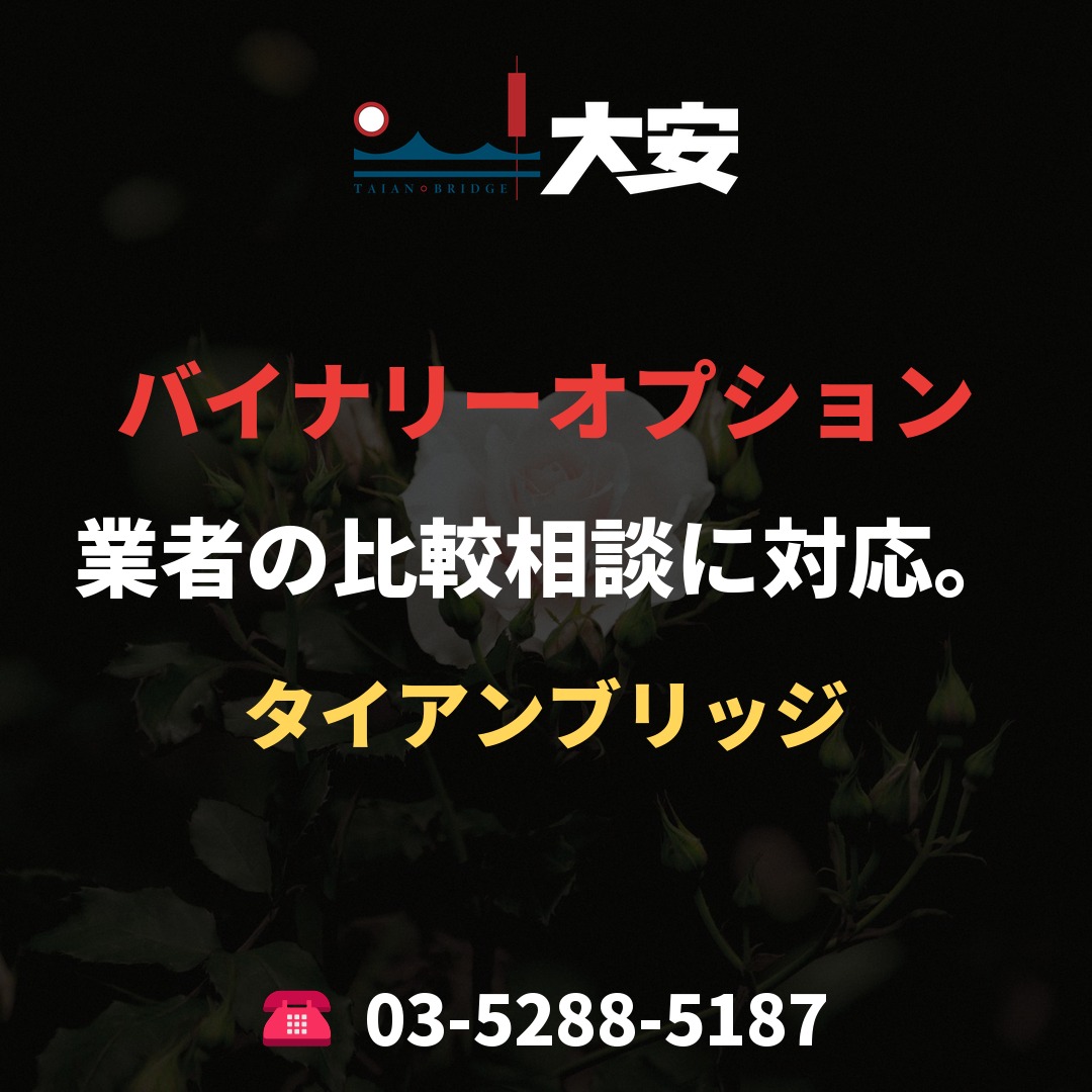 バイナリーオプション業者の比較相談に対応。｜タイアンブリッジ