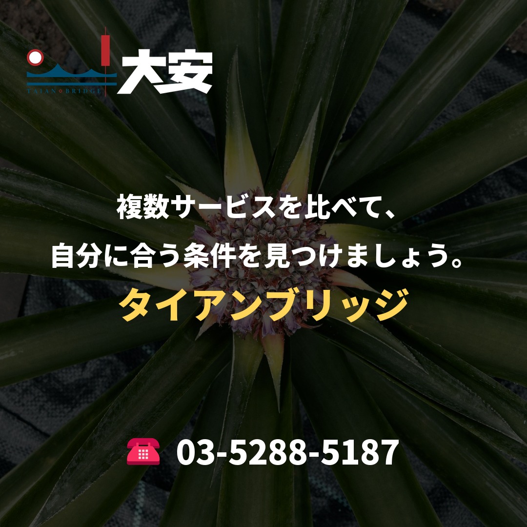 複数サービスを比べて、自分に合う条件を見つけましょう。|タイアンブリッジ