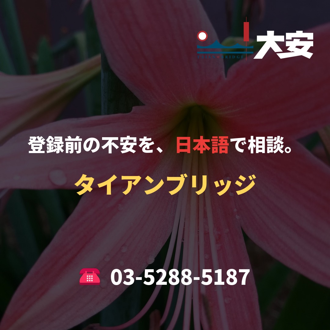 登録前の不安を、日本語で相談。｜タイアンブリッジ
