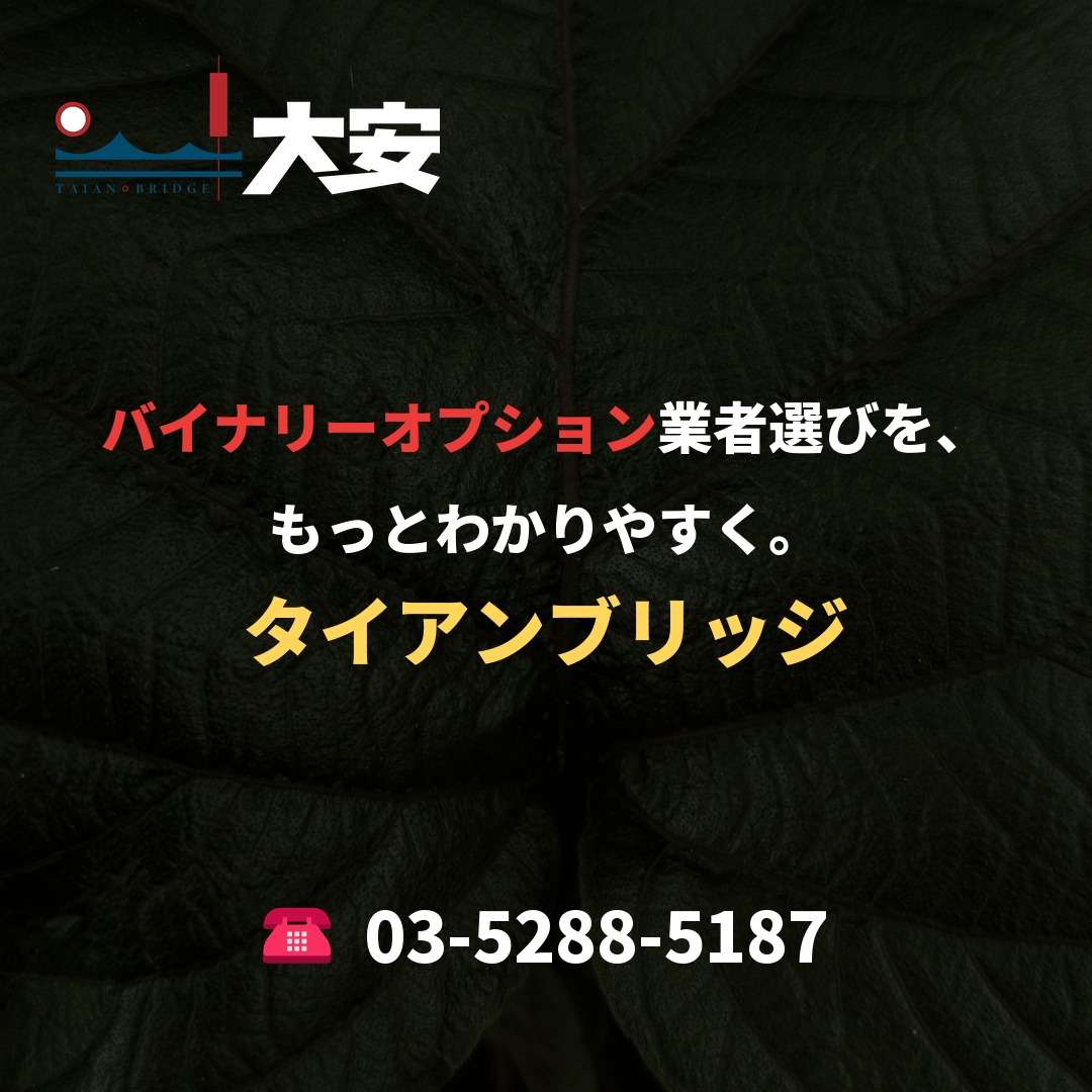 バイナリーオプション業者選びを、もっとわかりやすく。｜タイアンブリッジ