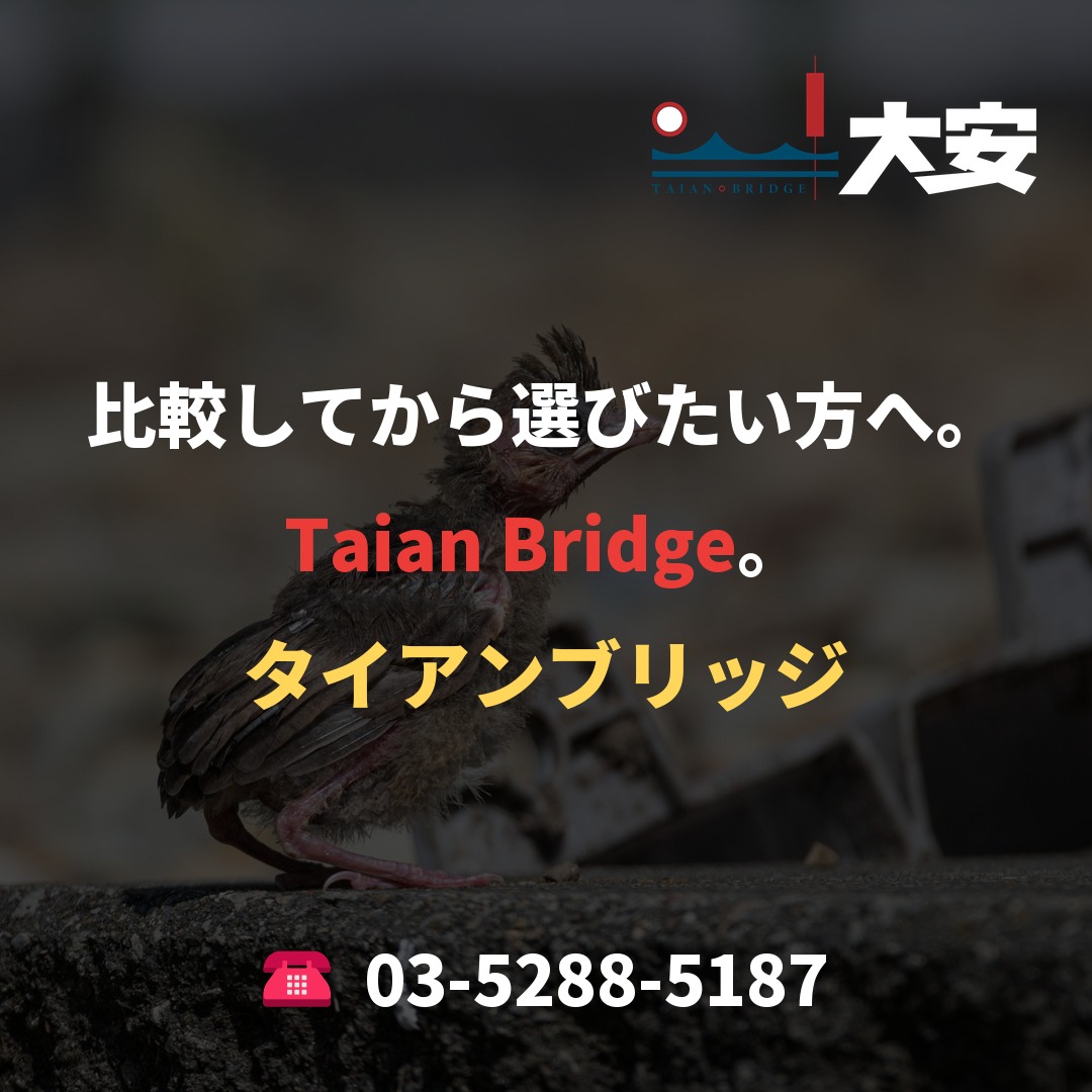 比較してから選びたい方へ。Taian Bridge。