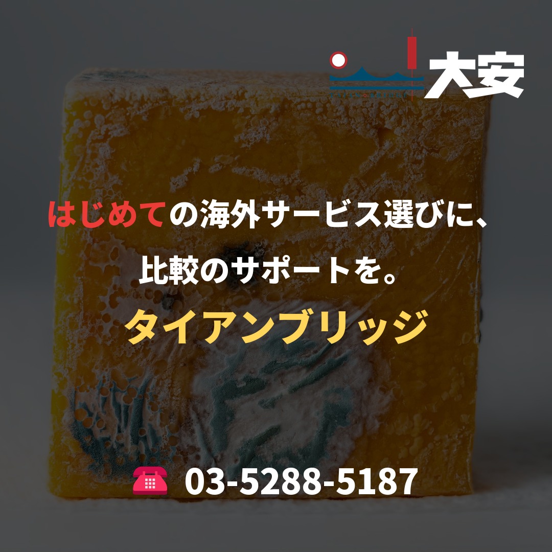 はじめての海外サービス選びに、比較のサポートを。｜タイアンブリッジ