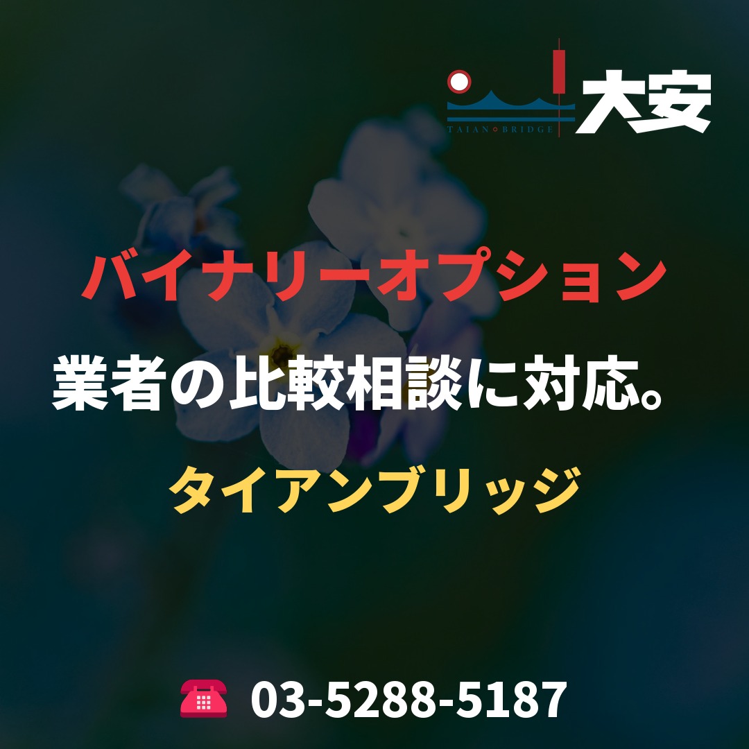 バイナリーオプション業者の比較相談に対応。｜タイアンブリッジ