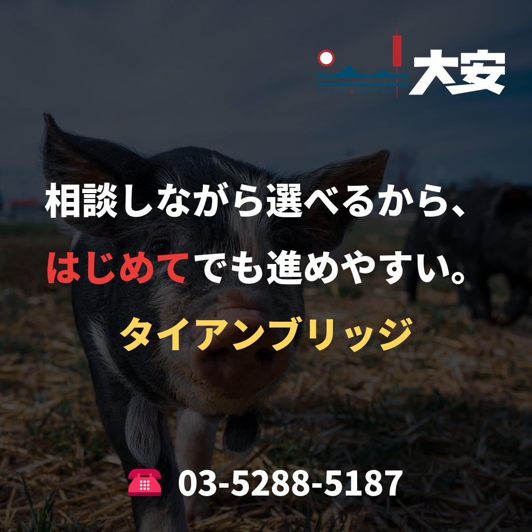 相談しながら選べるから、はじめてでも進めやすい。|タイアンブリッジ