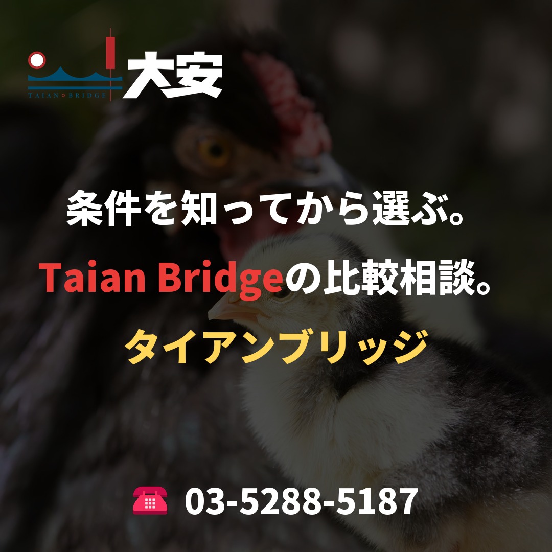 条件を知ってから選ぶ。Taian Bridgeの比較相談。