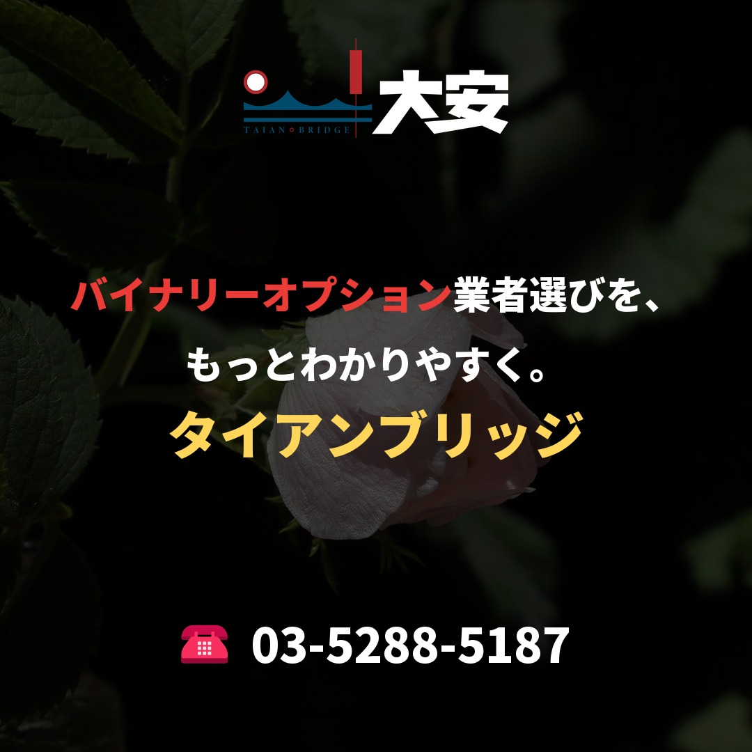 バイナリーオプション業者選びを、もっとわかりやすく。|タイアンブリッジ