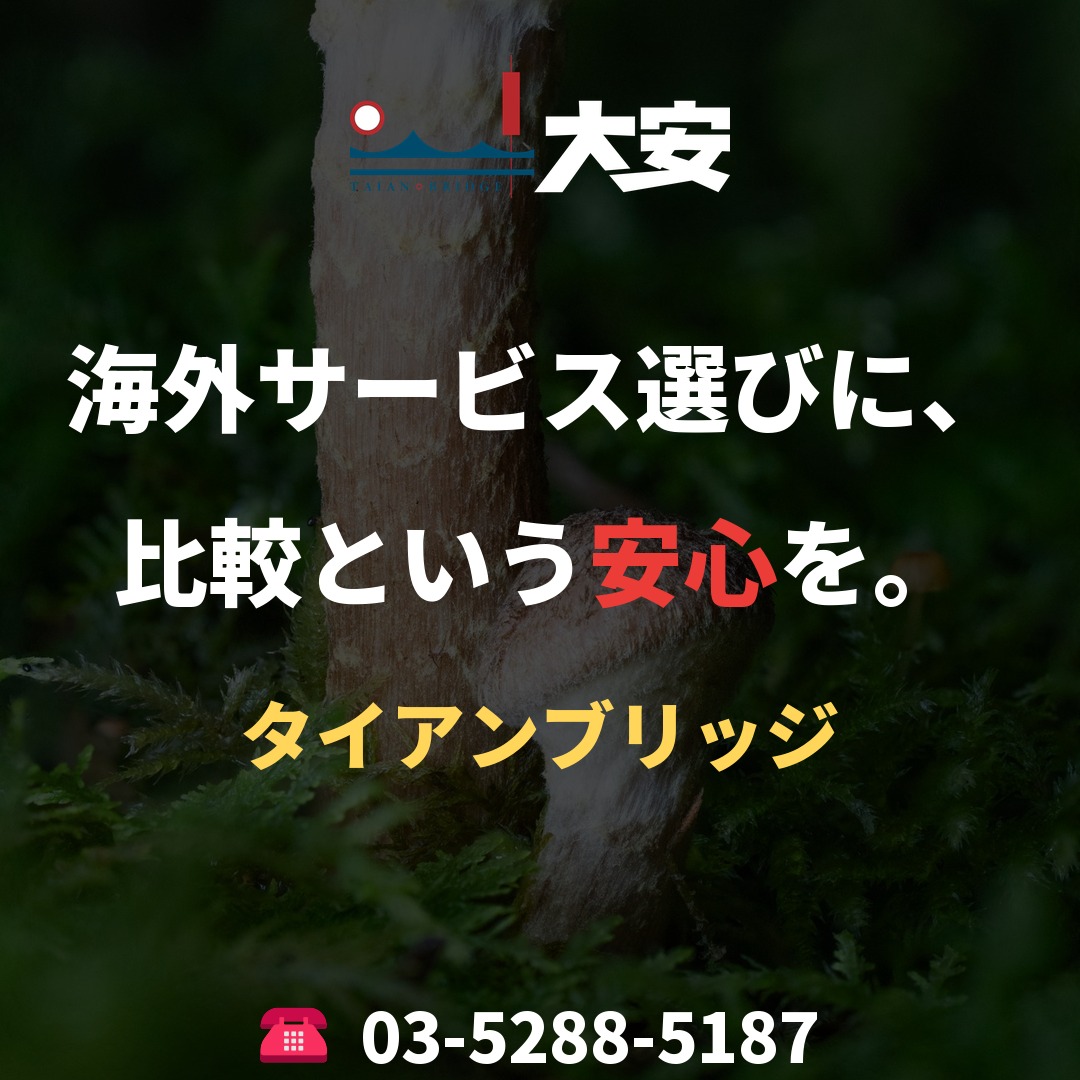 海外サービス選びに、比較という安心を。｜タイアンブリッジ