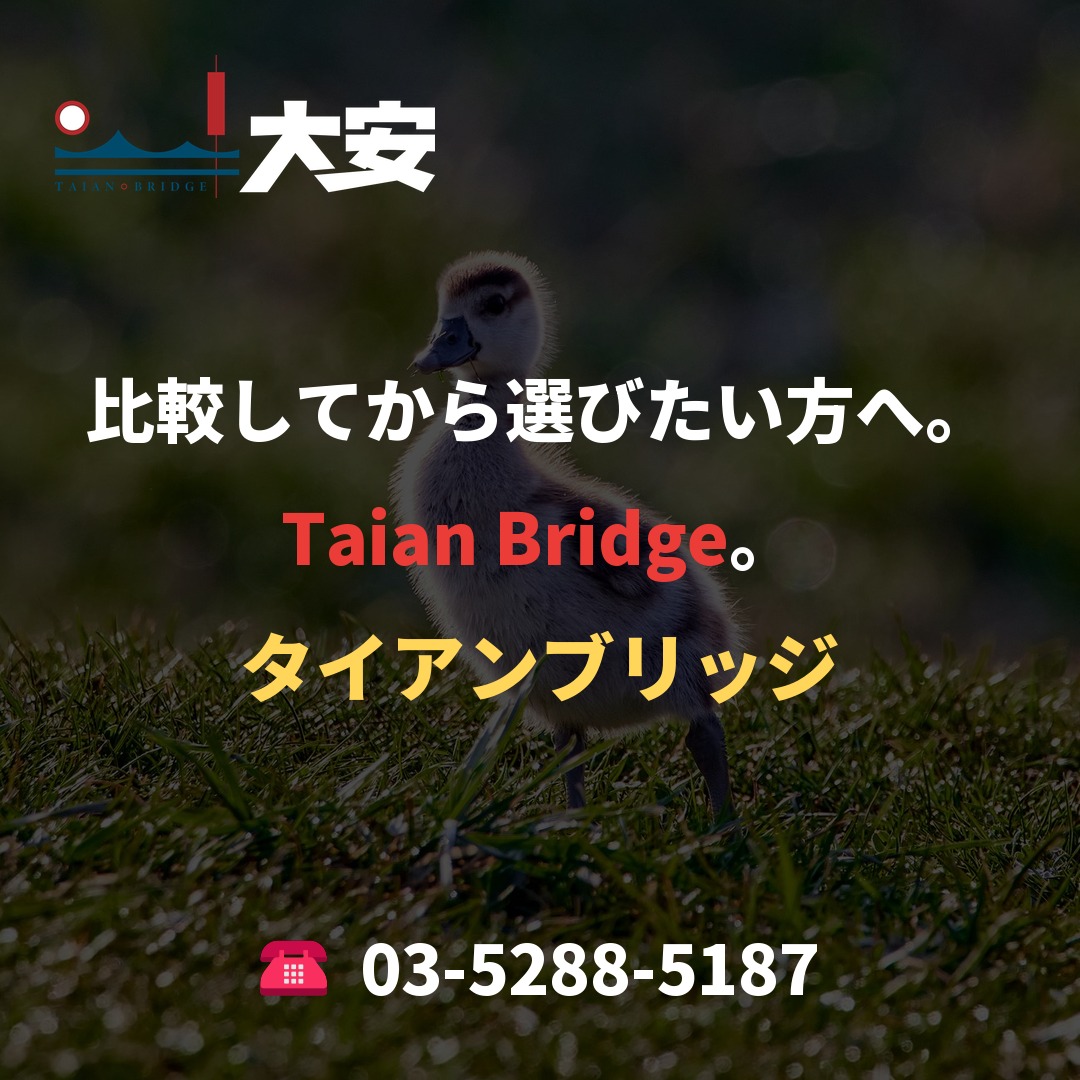 比較してから選びたい方へ。Taian Bridge。