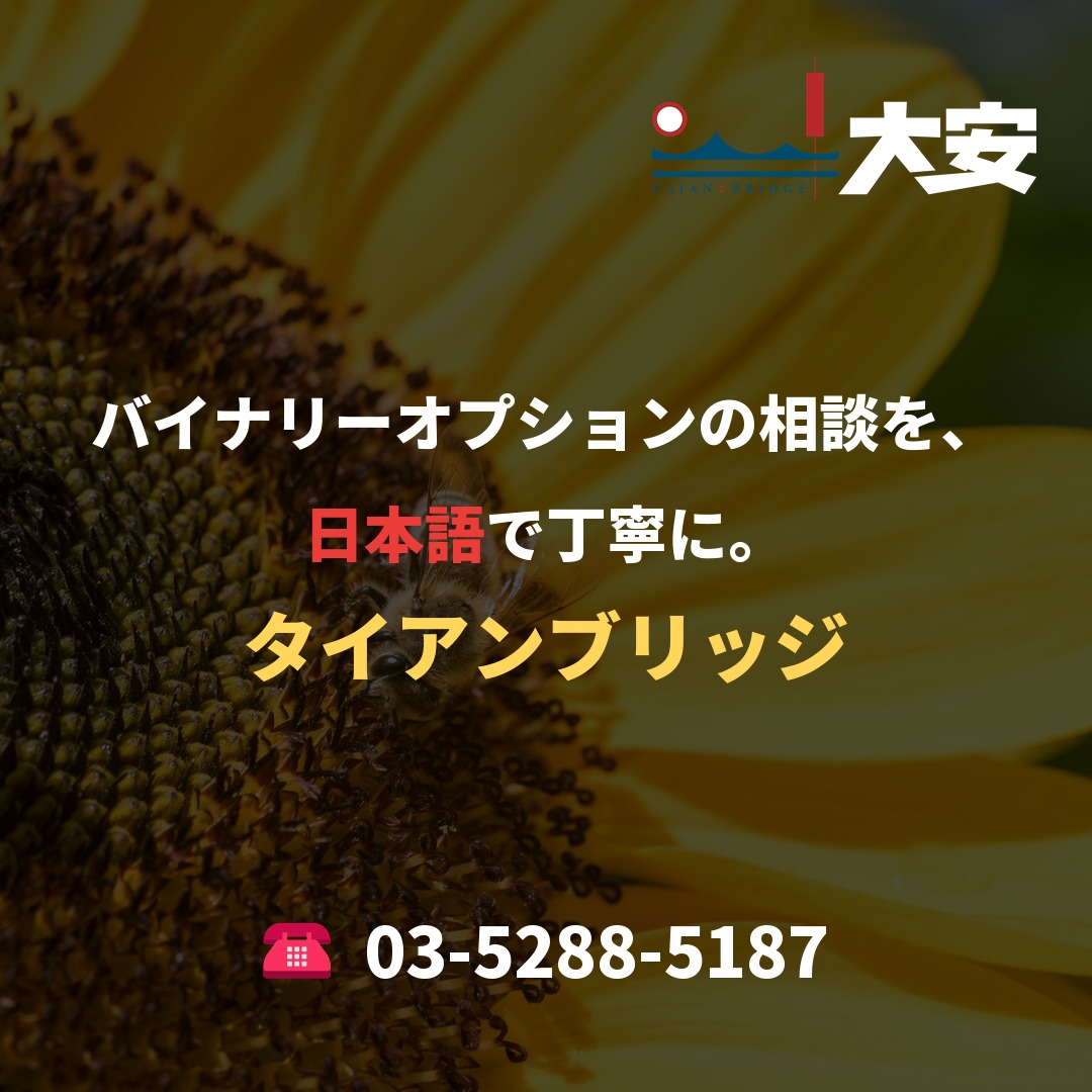 バイナリーオプションの相談を、日本語で丁寧に。|タイアンブリッジ
