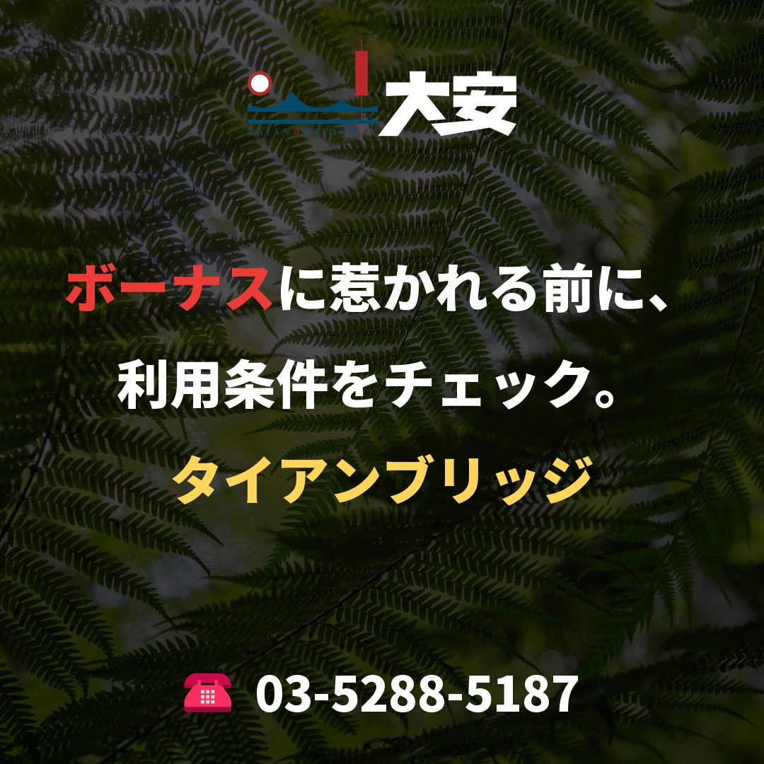 ボーナスに惹かれる前に、利用条件をチェック。｜タイアンブリッジ
