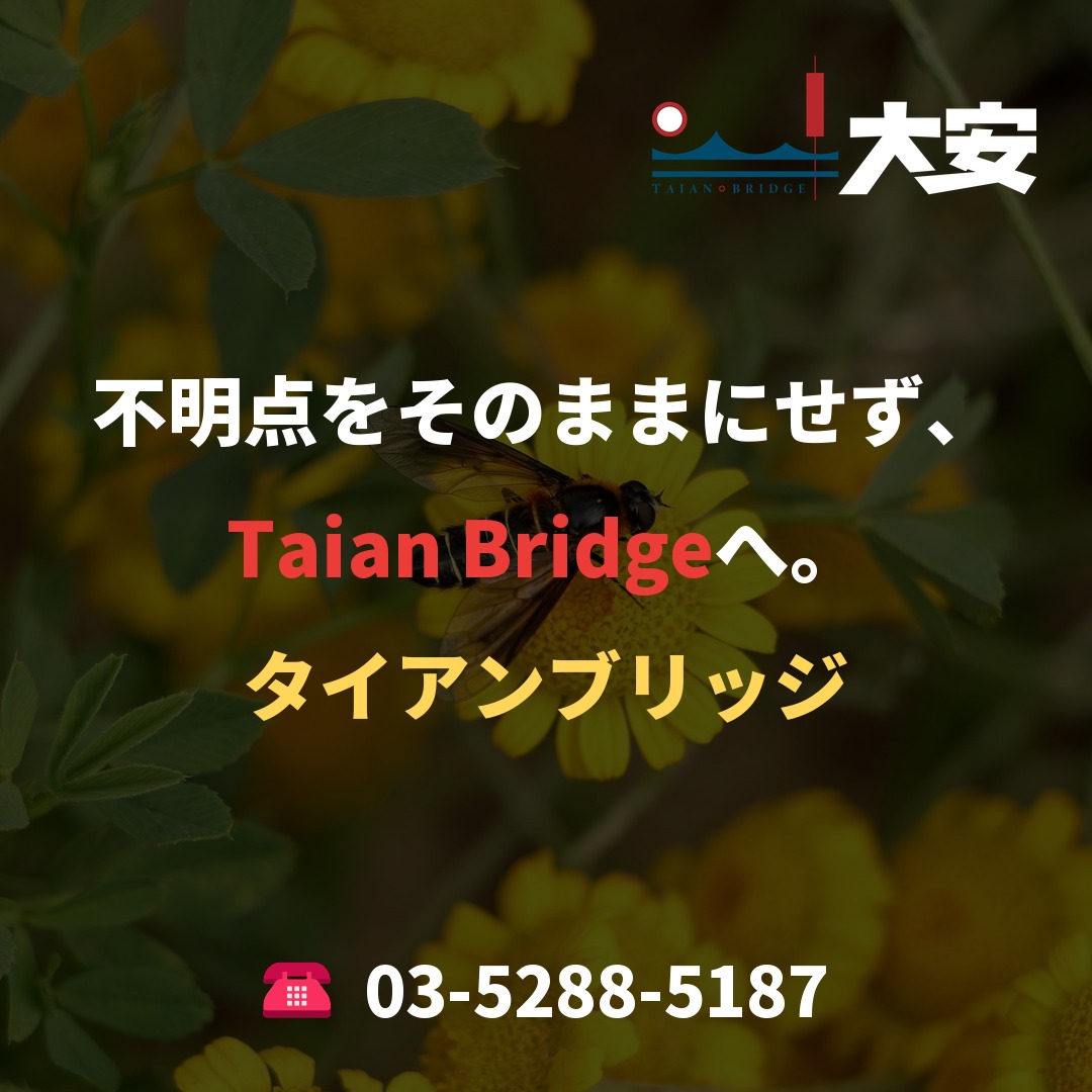 不明点をそのままにせず、Taian Bridgeへ。
