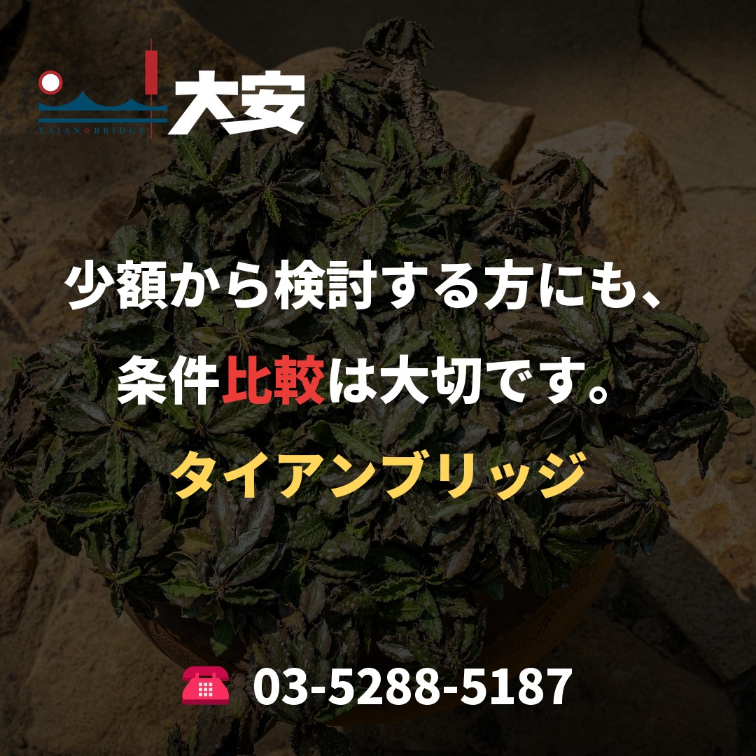 少額から検討する方にも、条件比較は大切です。｜タイアンブリッジ