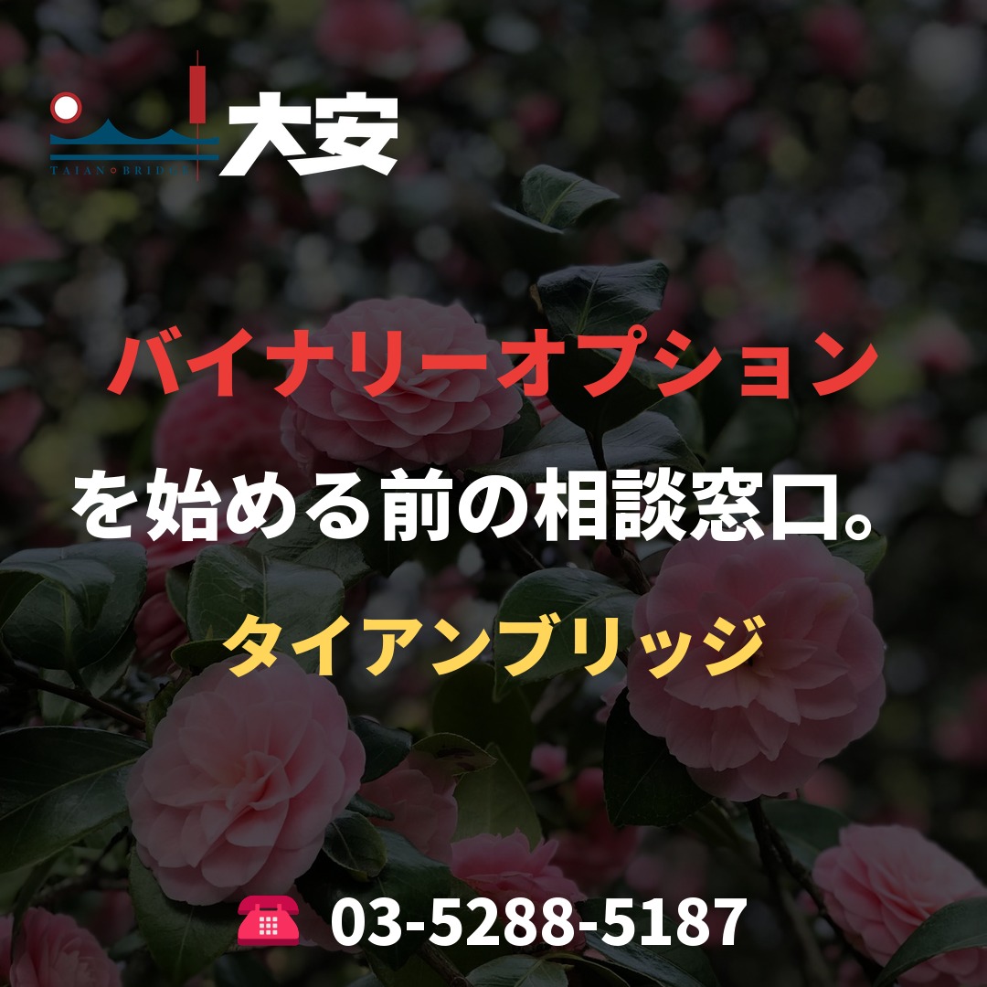 バイナリーオプションを始める前の相談窓口。|タイアンブリッジ