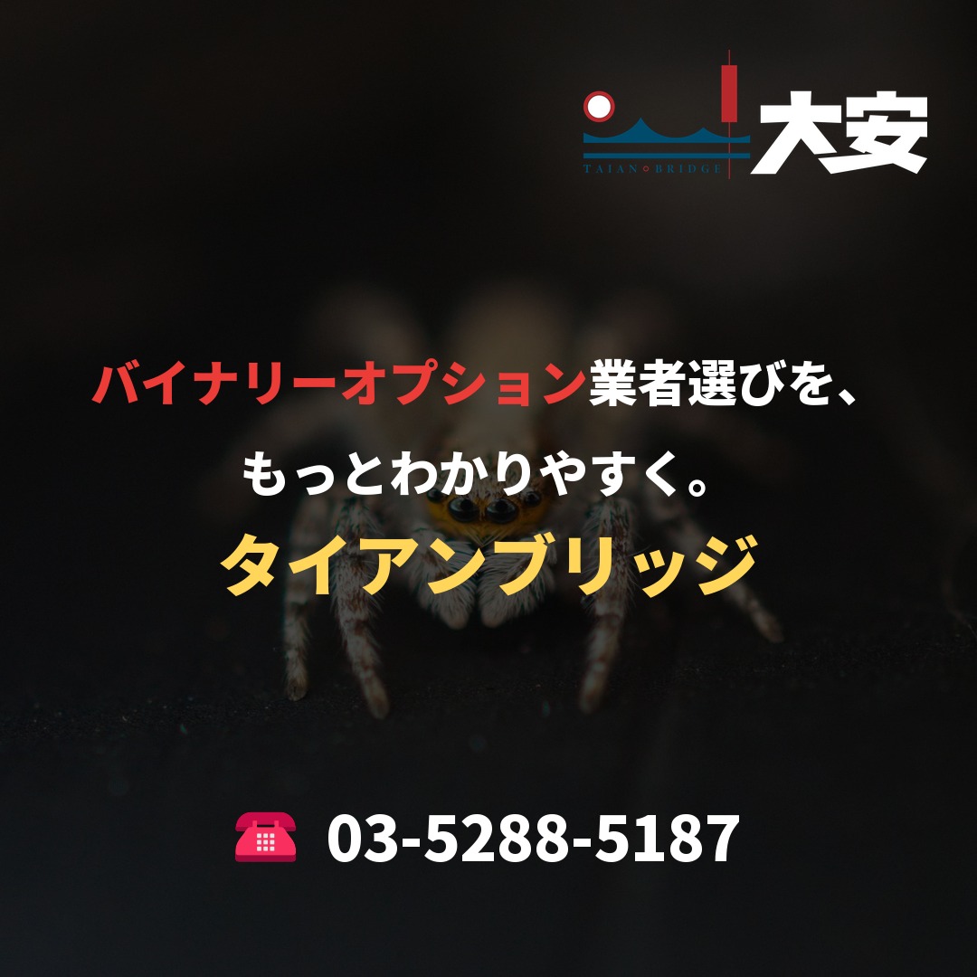 バイナリーオプション業者選びを、もっとわかりやすく。|タイアンブリッジ