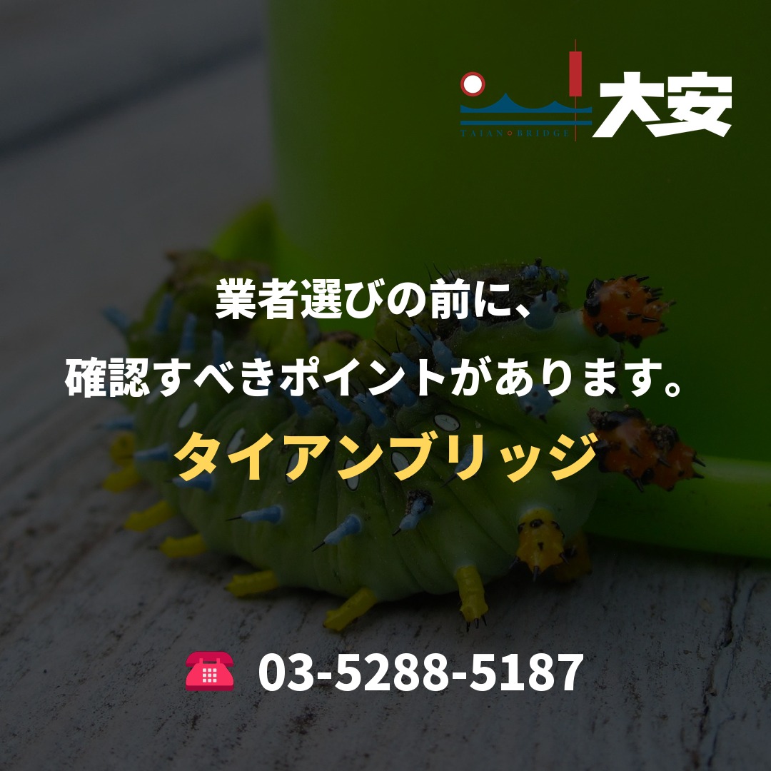 業者選びの前に、確認すべきポイントがあります。|タイアンブリッジ