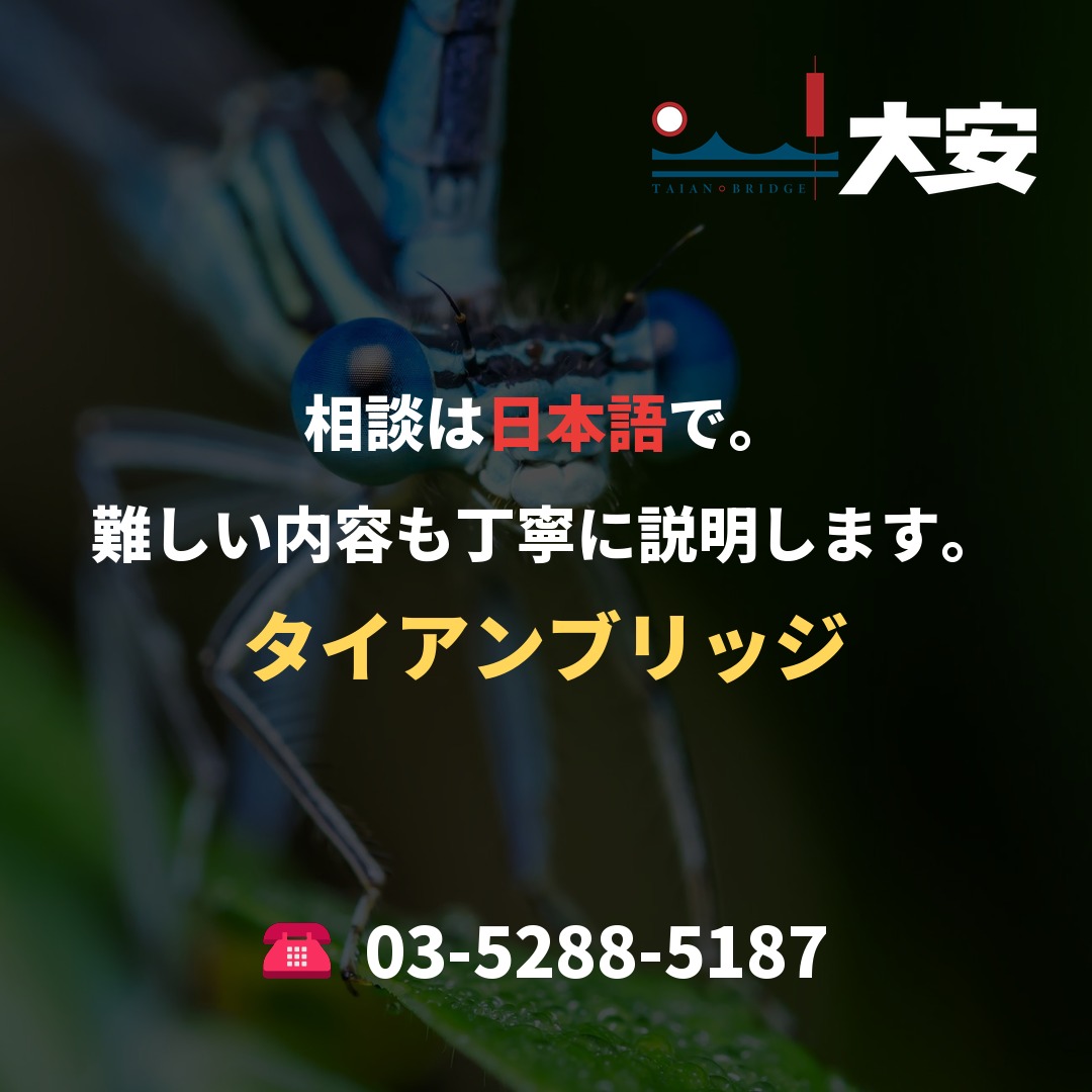 相談は日本語で。難しい内容も丁寧に説明します。｜タイアンブリッジ