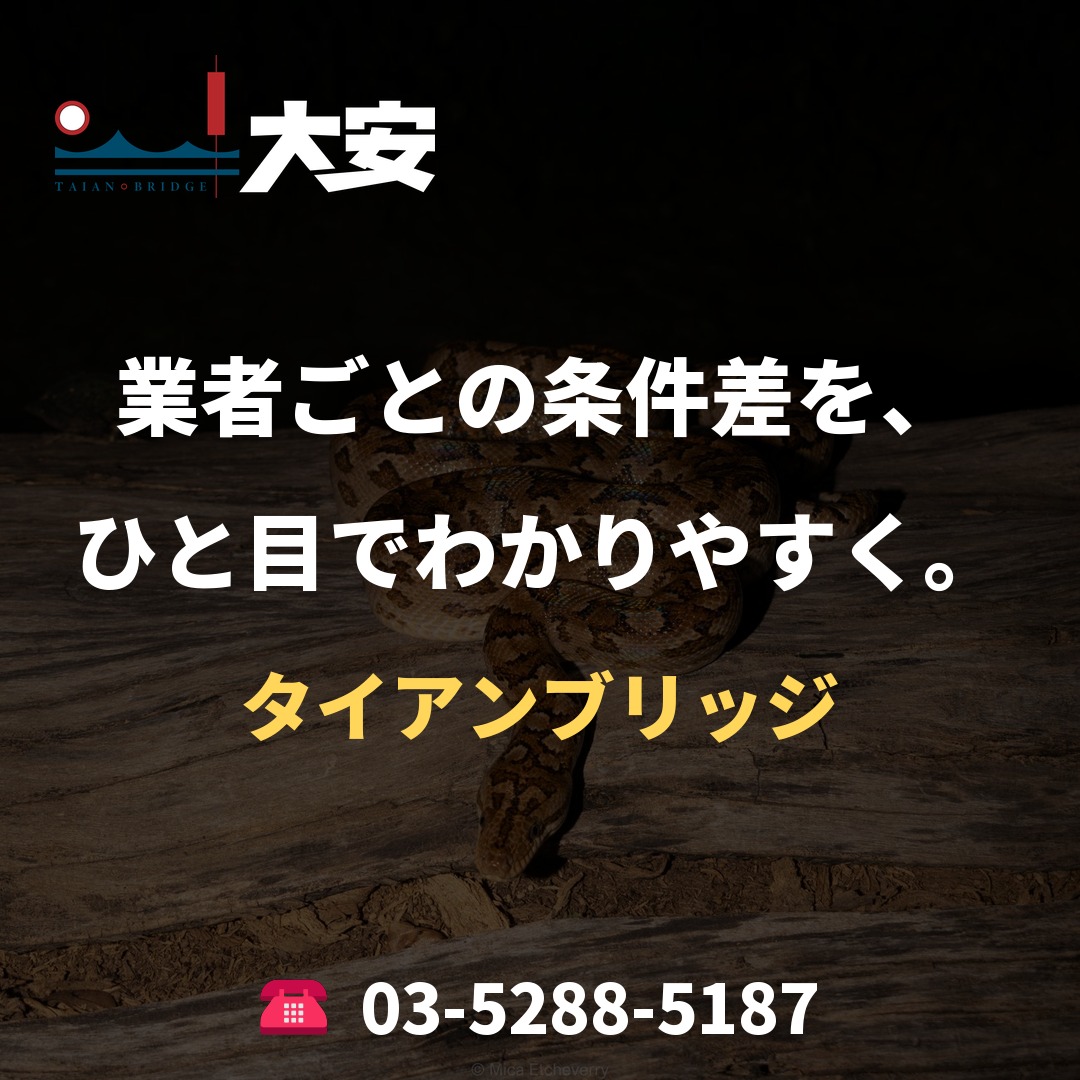 業者ごとの条件差を、ひと目でわかりやすく。｜タイアンブリッジ
