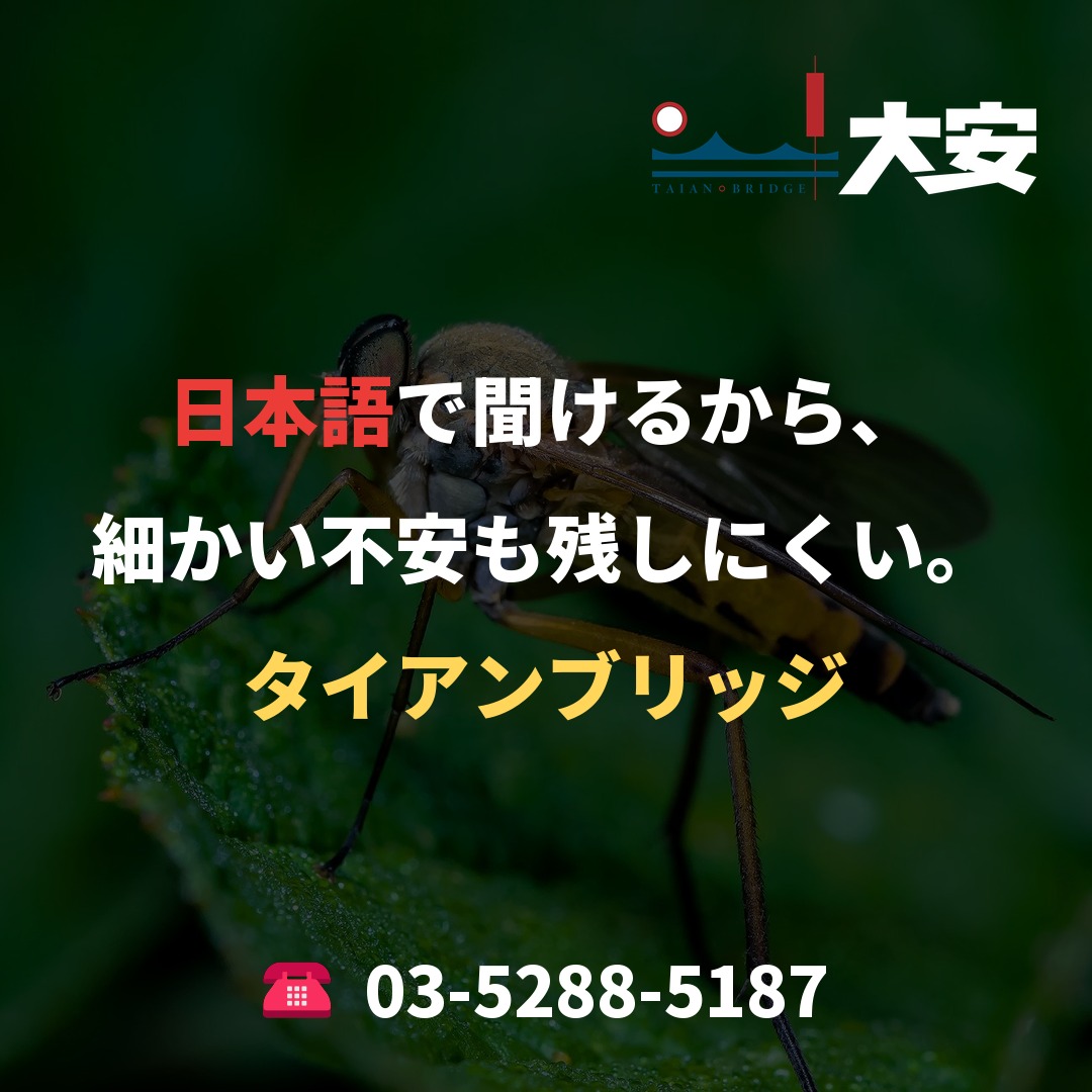 日本語で聞けるから、細かい不安も残しにくい。｜タイアンブリッジ