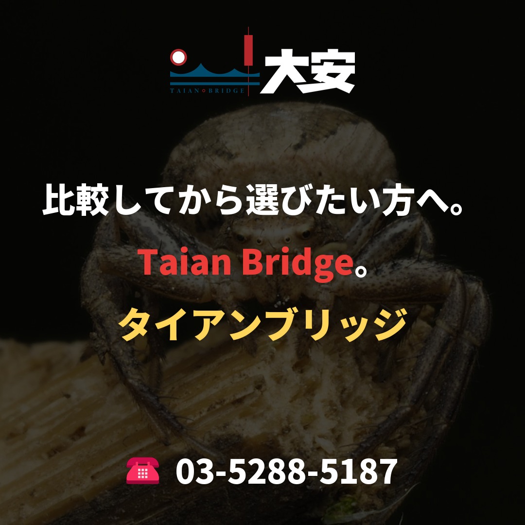比較してから選びたい方へ。Taian Bridge。