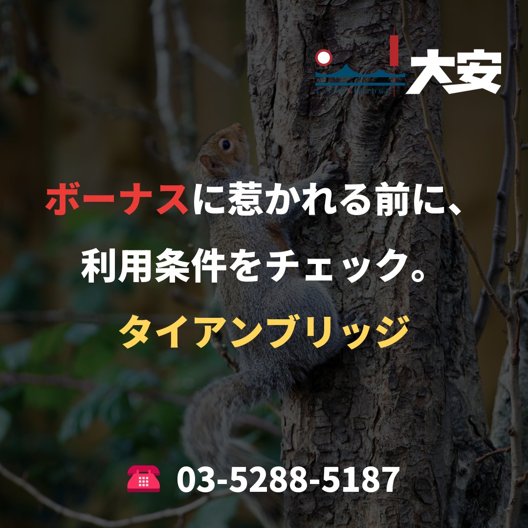 ボーナスに惹かれる前に、利用条件をチェック。｜タイアンブリッジ
