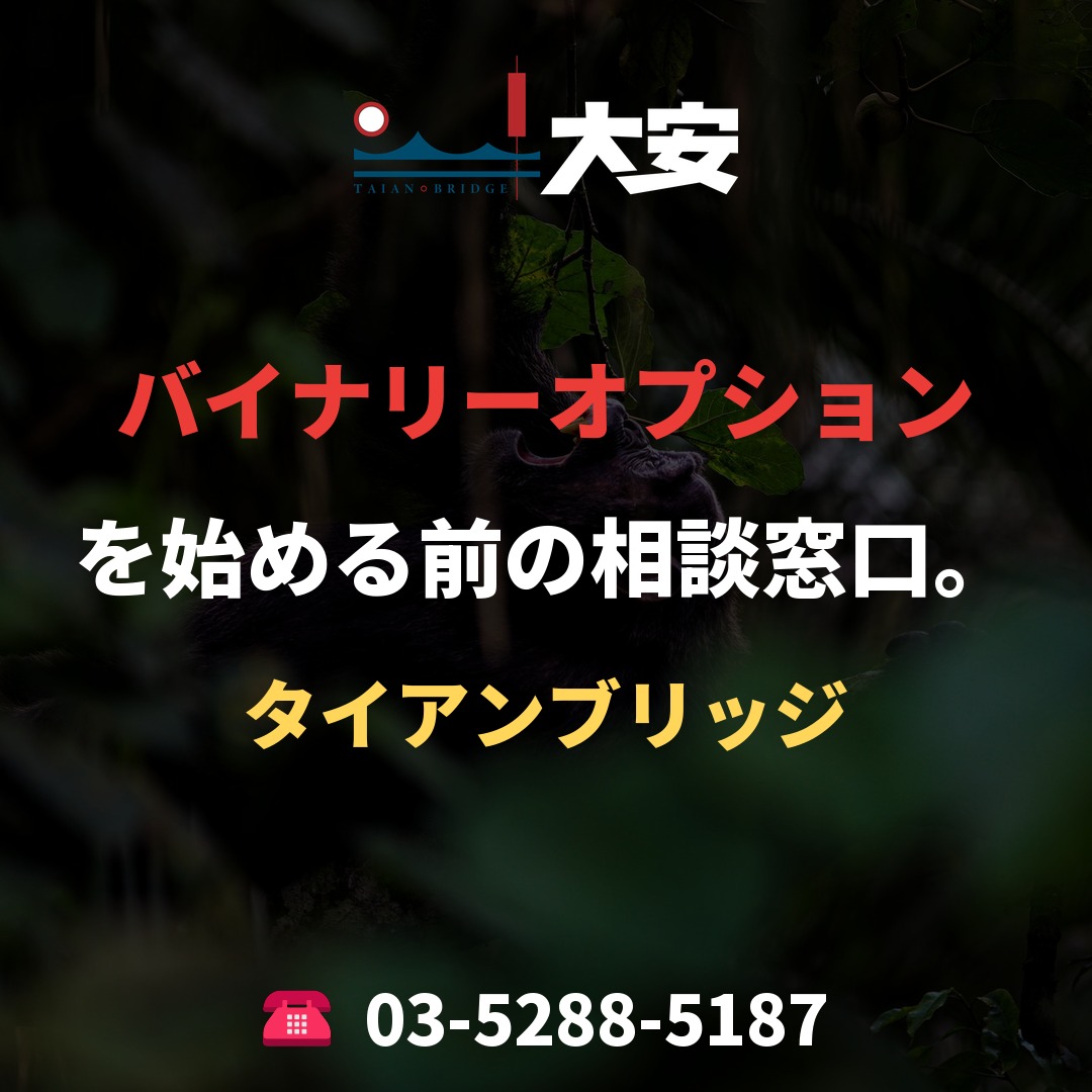 バイナリーオプションを始める前の相談窓口。｜タイアンブリッジ