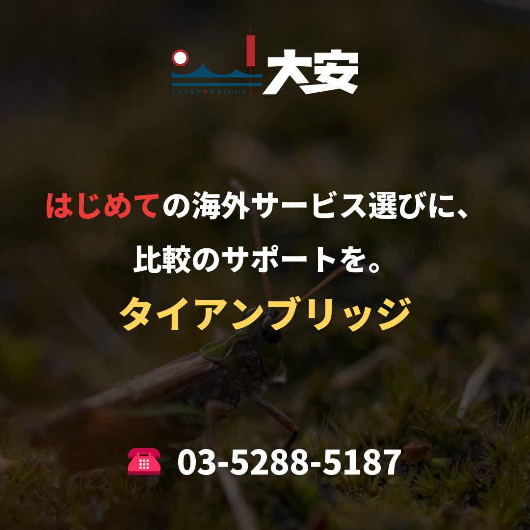 はじめての海外サービス選びに、比較のサポートを。|タイアンブリッジ