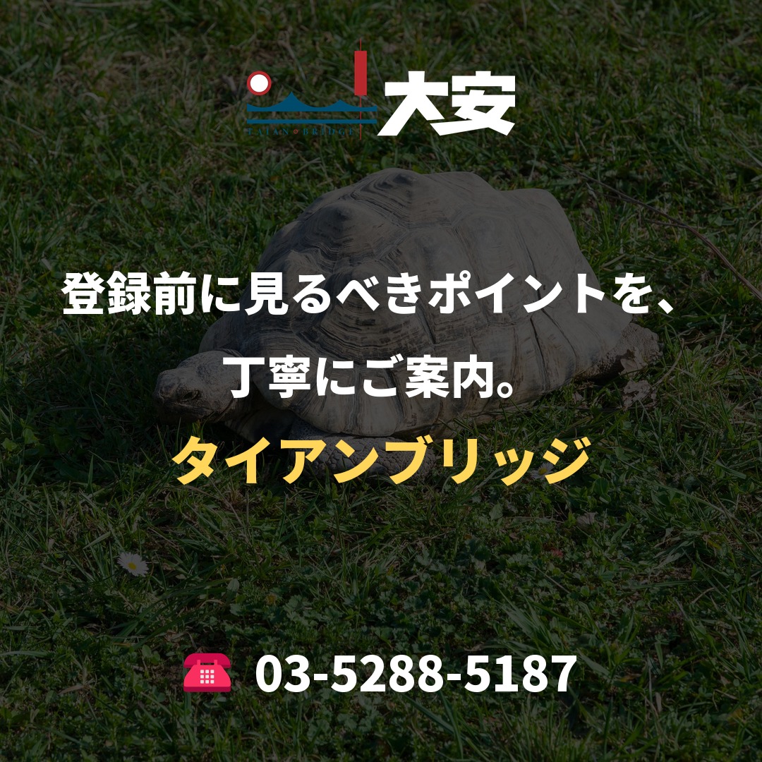 登録前に見るべきポイントを、丁寧にご案内。｜タイアンブリッジ