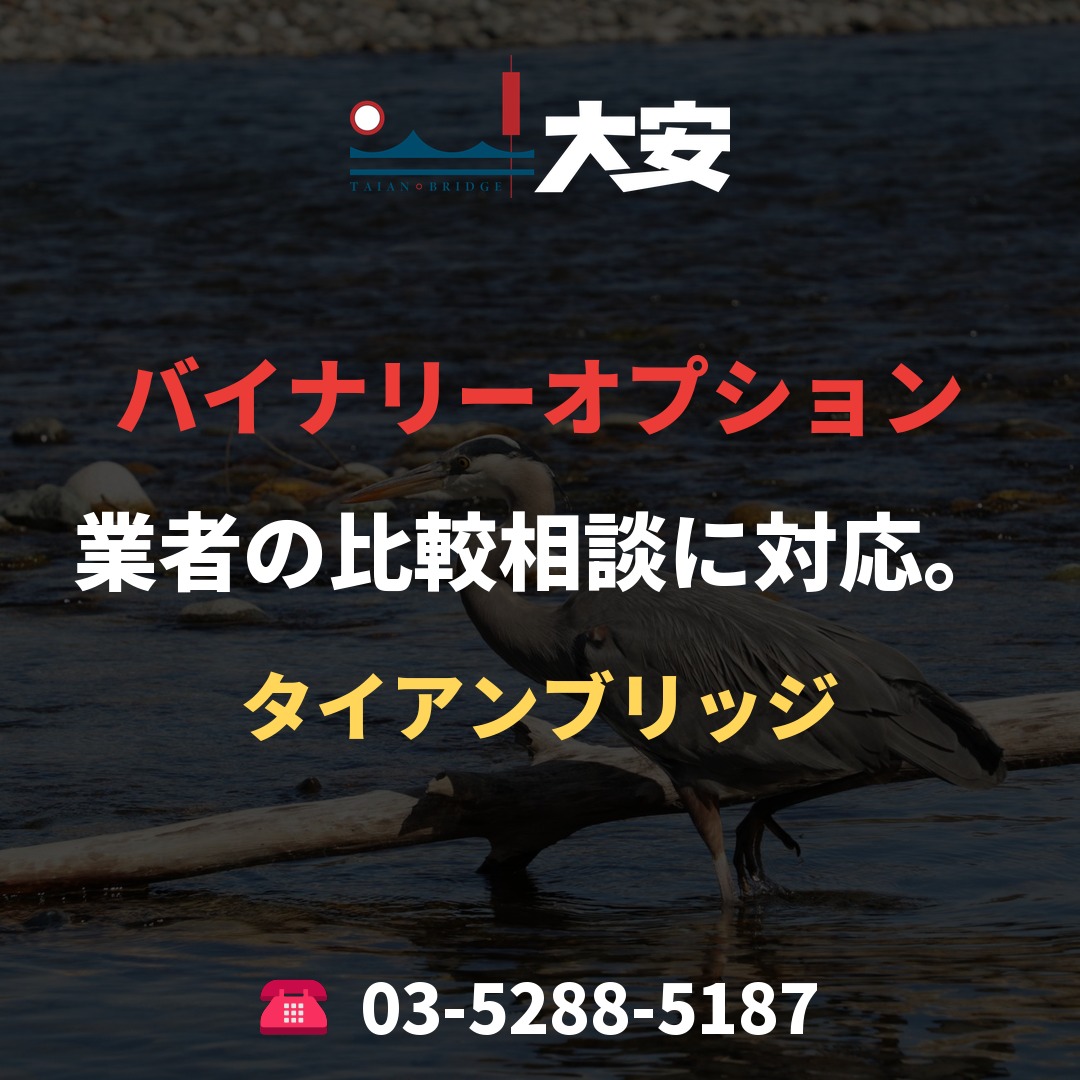 バイナリーオプション業者の比較相談に対応。｜タイアンブリッジ
