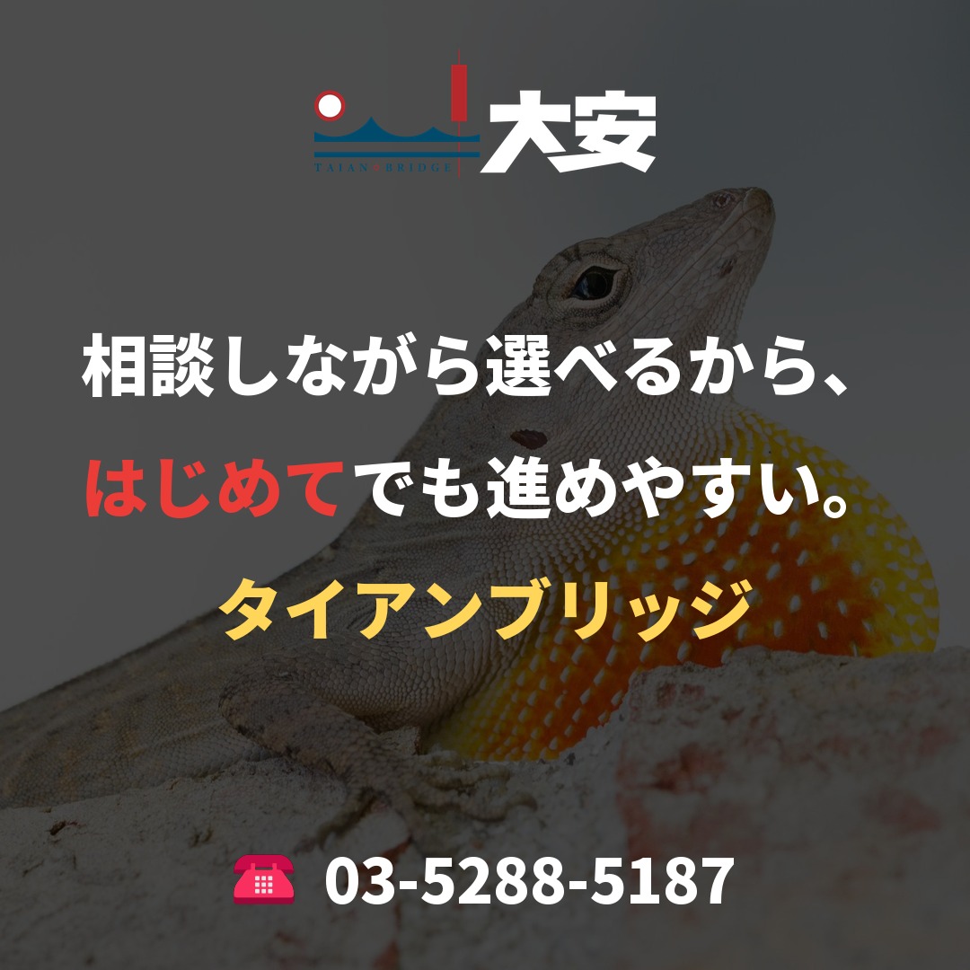 相談しながら選べるから、はじめてでも進めやすい。｜タイアンブリッジ