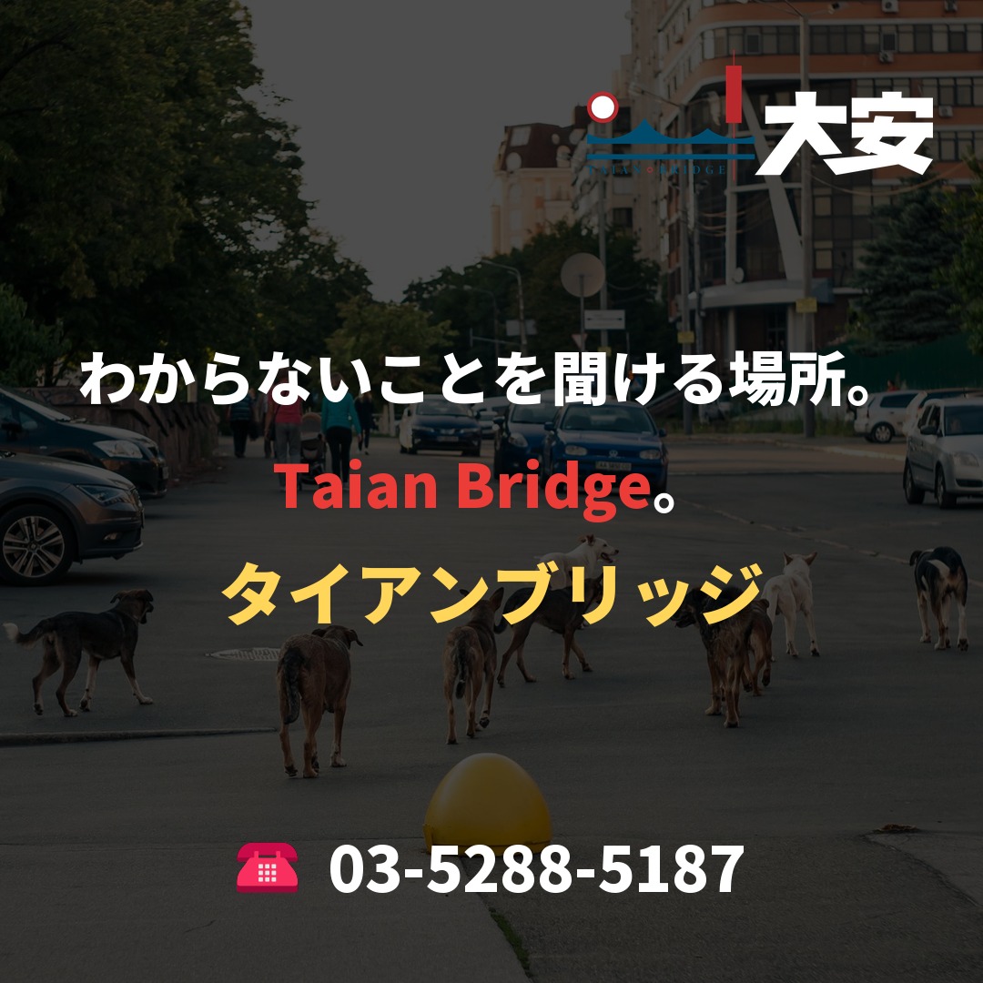 わからないことを聞ける場所。Taian Bridge。